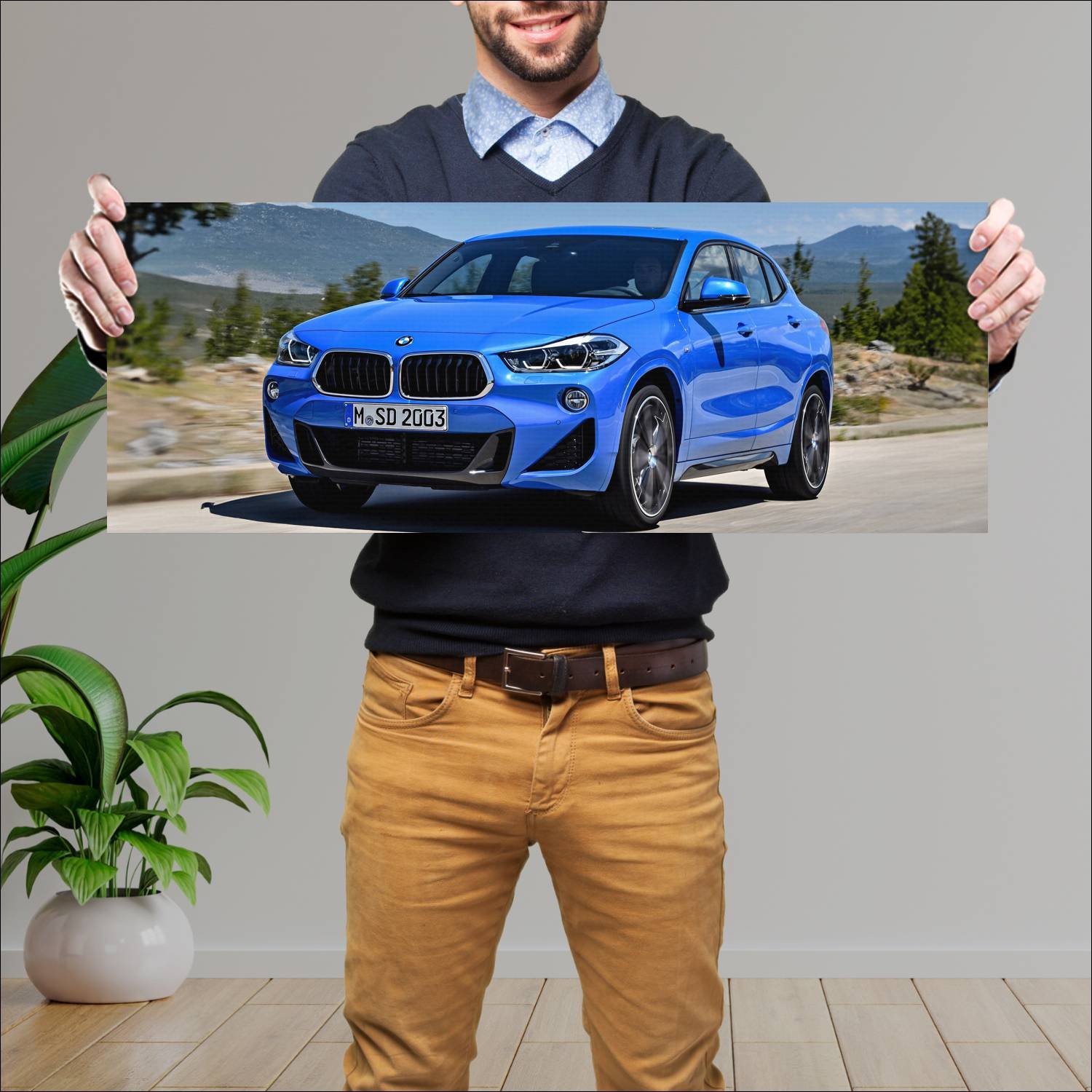 Cuadro grande 30x80cm 2018 bmw x2 m sport auto 670 Bmw