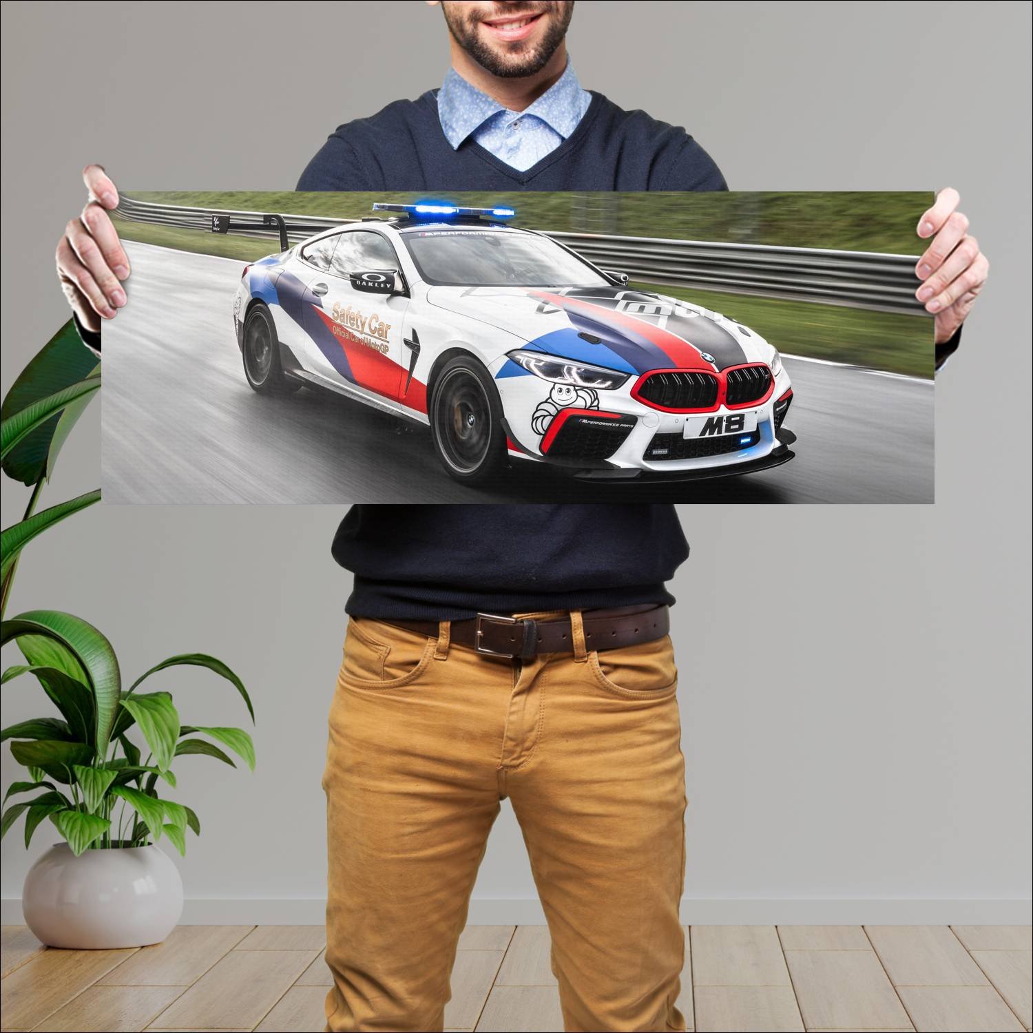 Cuadro grande 30x80cm 2019 bmw m8 coupe competitio 786 Bmw