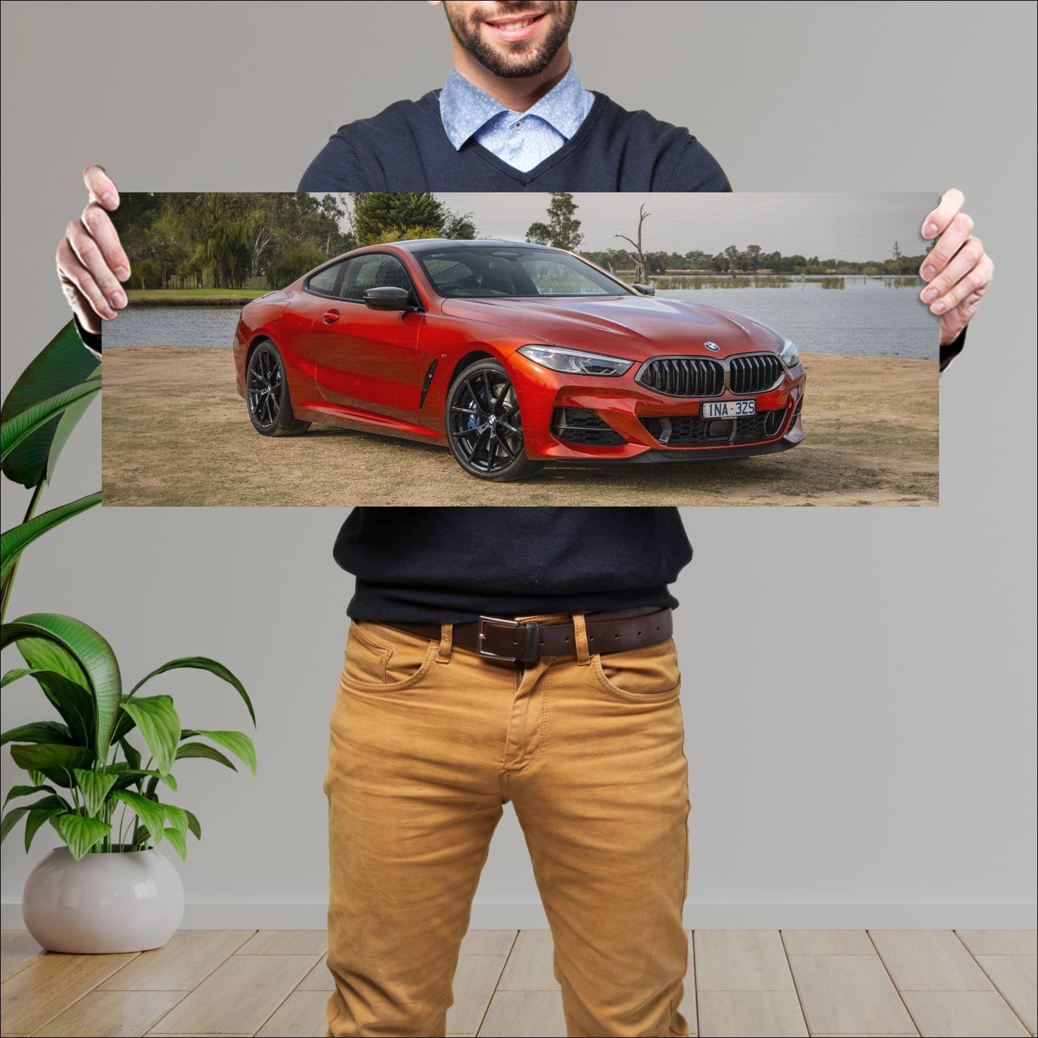 Cuadro grande 30x80cm 2019 bmw m850i coupe shadow 803 Bmw