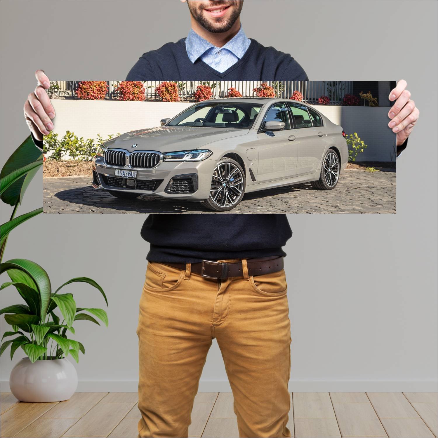 Cuadro grande 30x80cm 2020 bmw 5 series plug in hy 901 Bmw