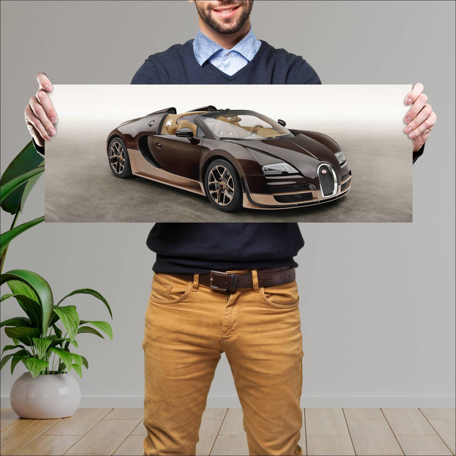 Cuadro grande 30x80cm 2014 bugatti veyron grand sp 84 Bugatti