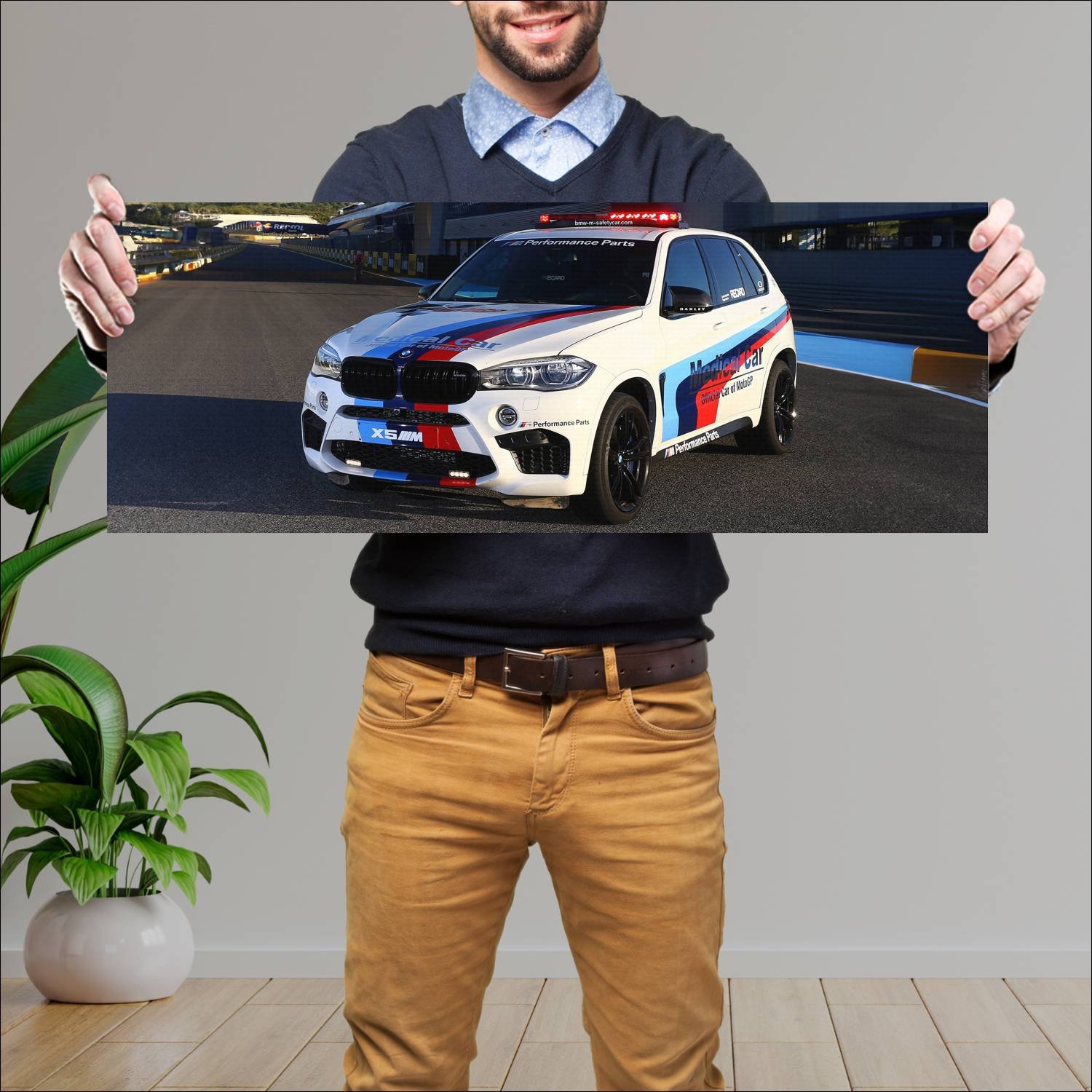 Cuadro grande 30x80cm 2015 bmw x5 m motogp medical 87 Bmw