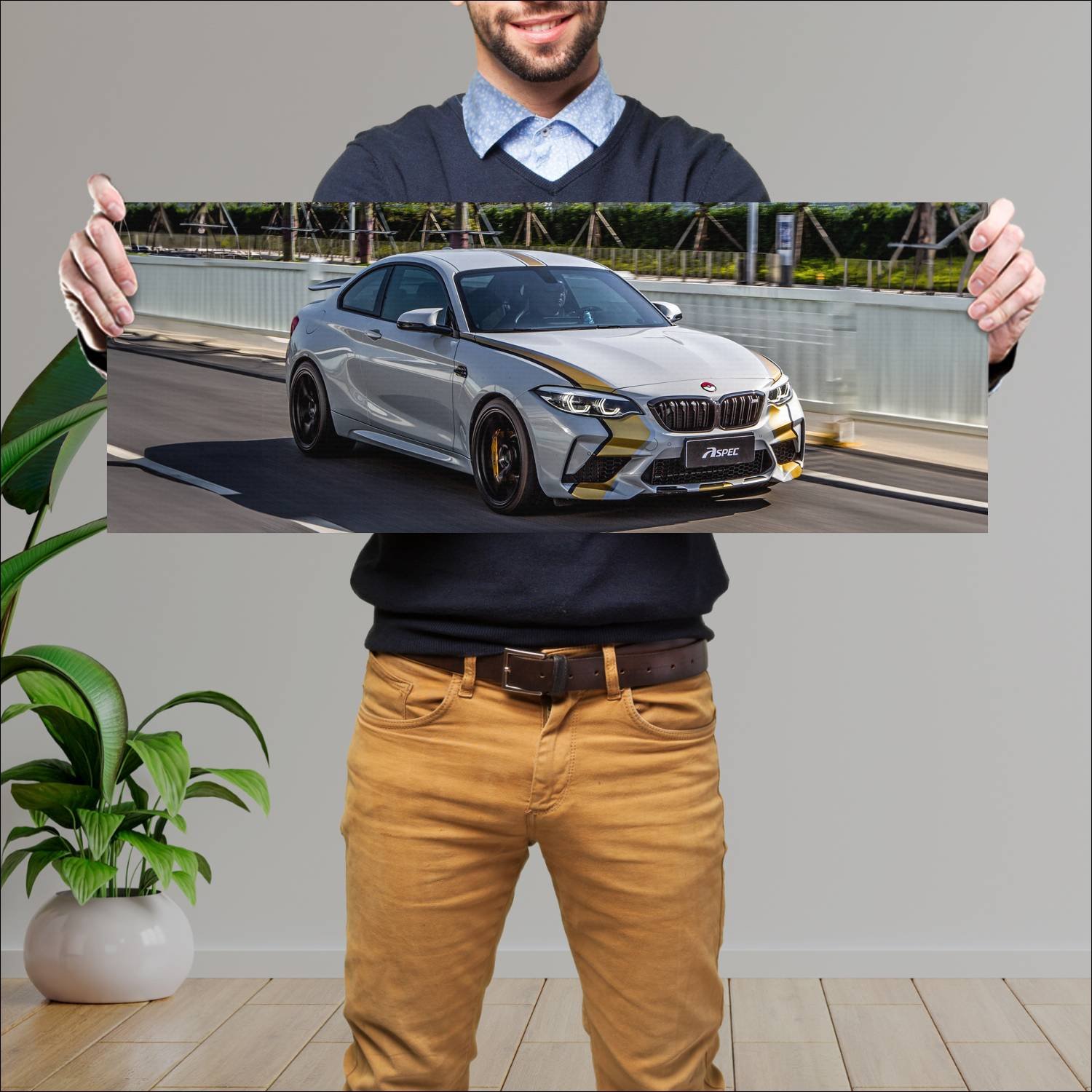 Cuadro grande 30x80cm 2020 bmw m2 coupe competitio 230 Bmw