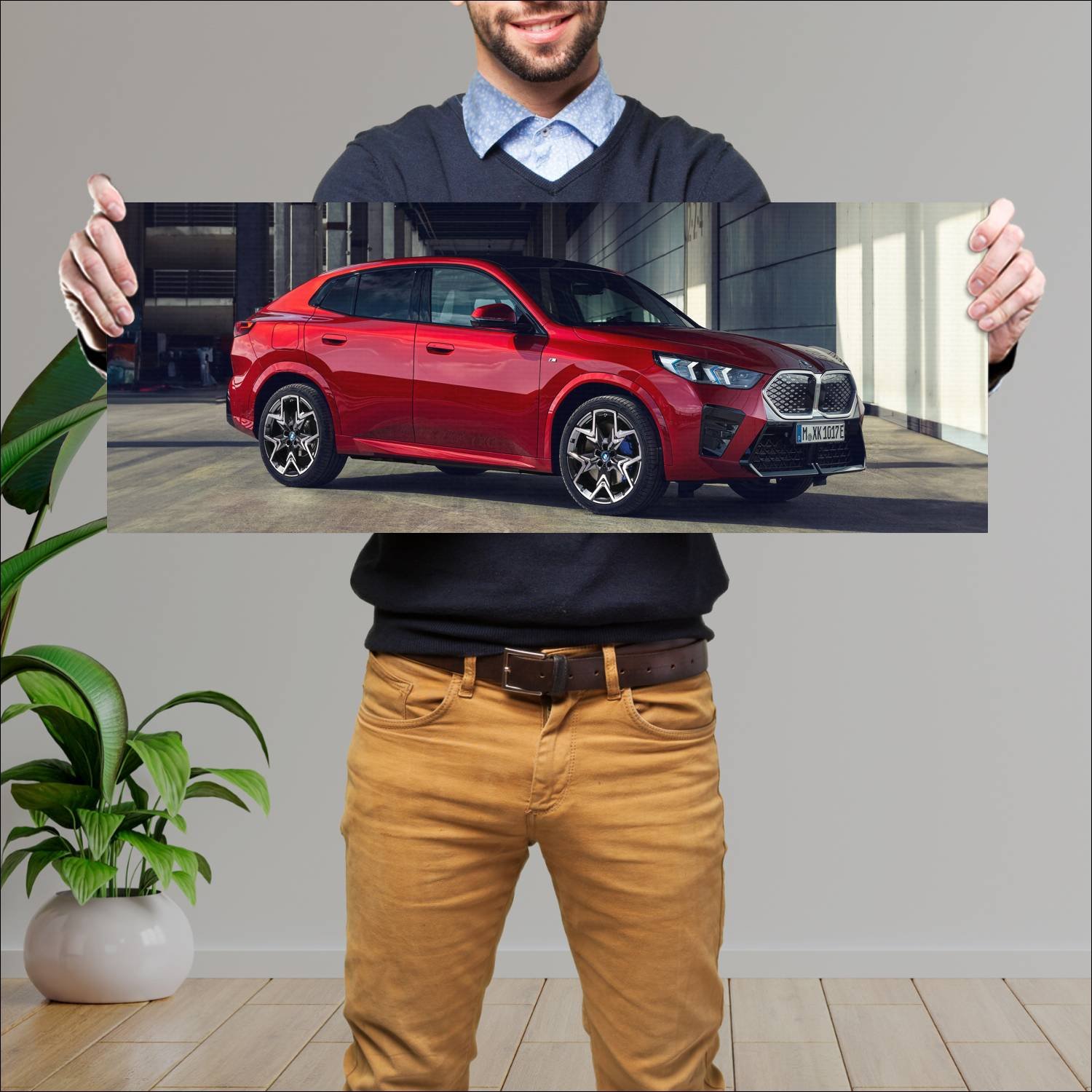 Cuadro grande 30x80cm 2023 bmw ix2 auto 550 Bmw