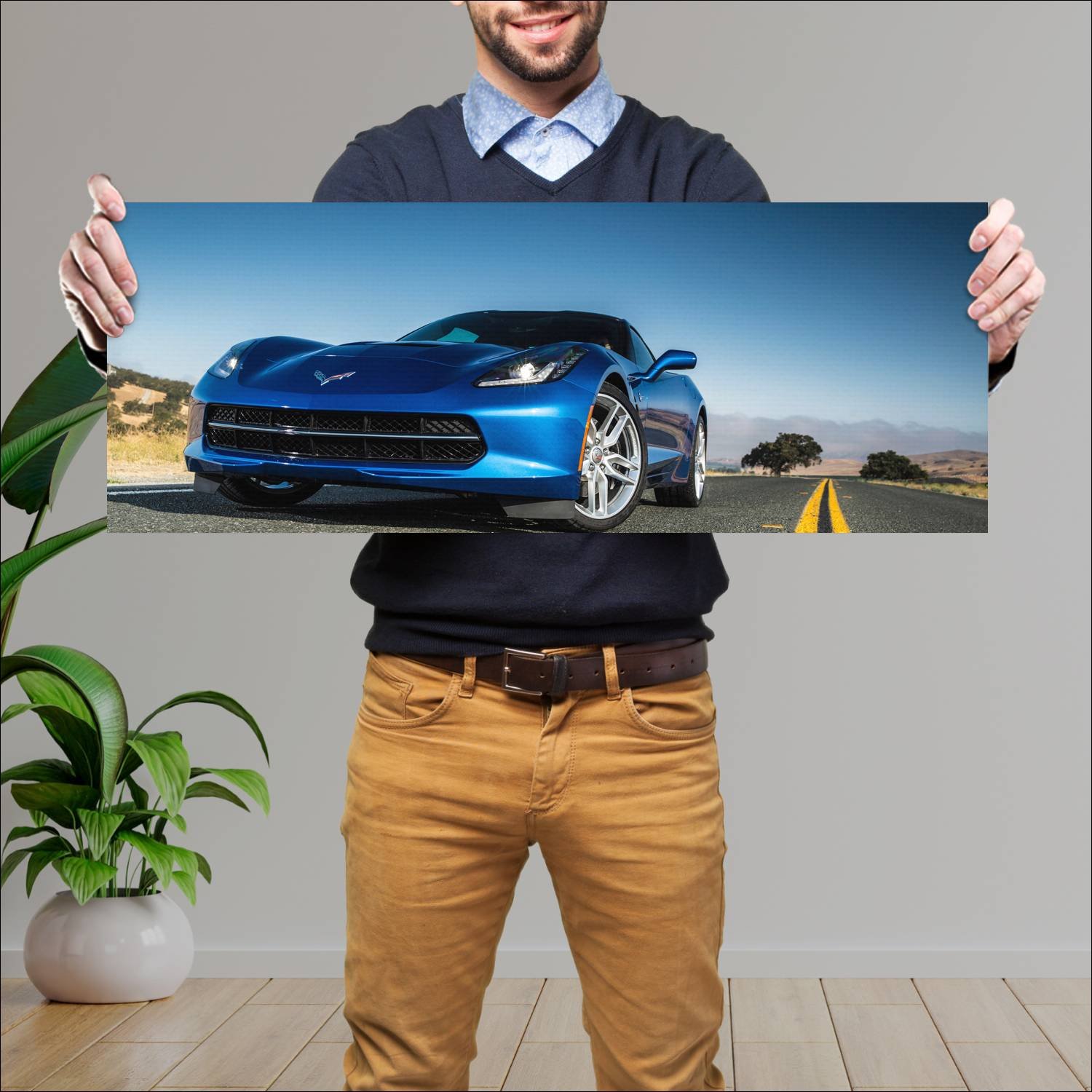 Cuadro grande 30x80cm 2014 Chevrolet Corvette Stingray 014 Chevrolet