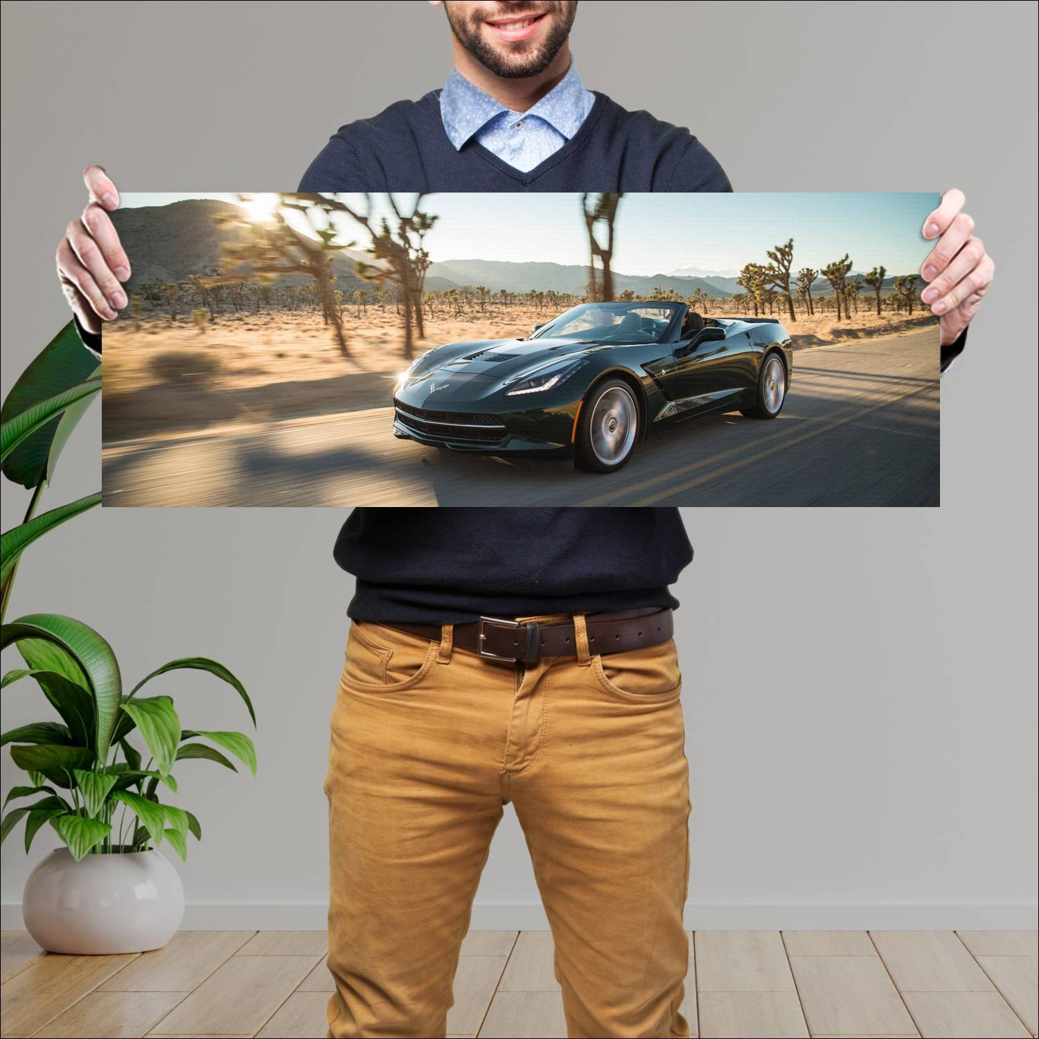 Cuadro grande 30x80cm 2014 Chevrolet Corvette Stingray C009 Chevrolet