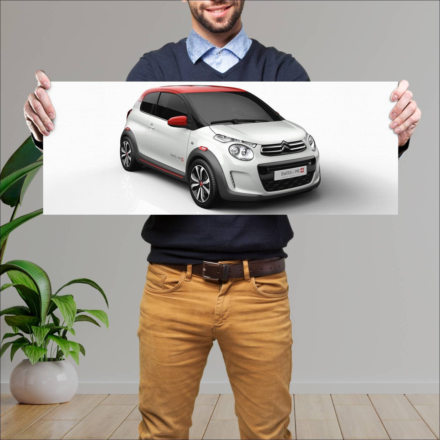Cuadro grande 30x80cm 2014 citroen c1 swiss and me 44 Citroen