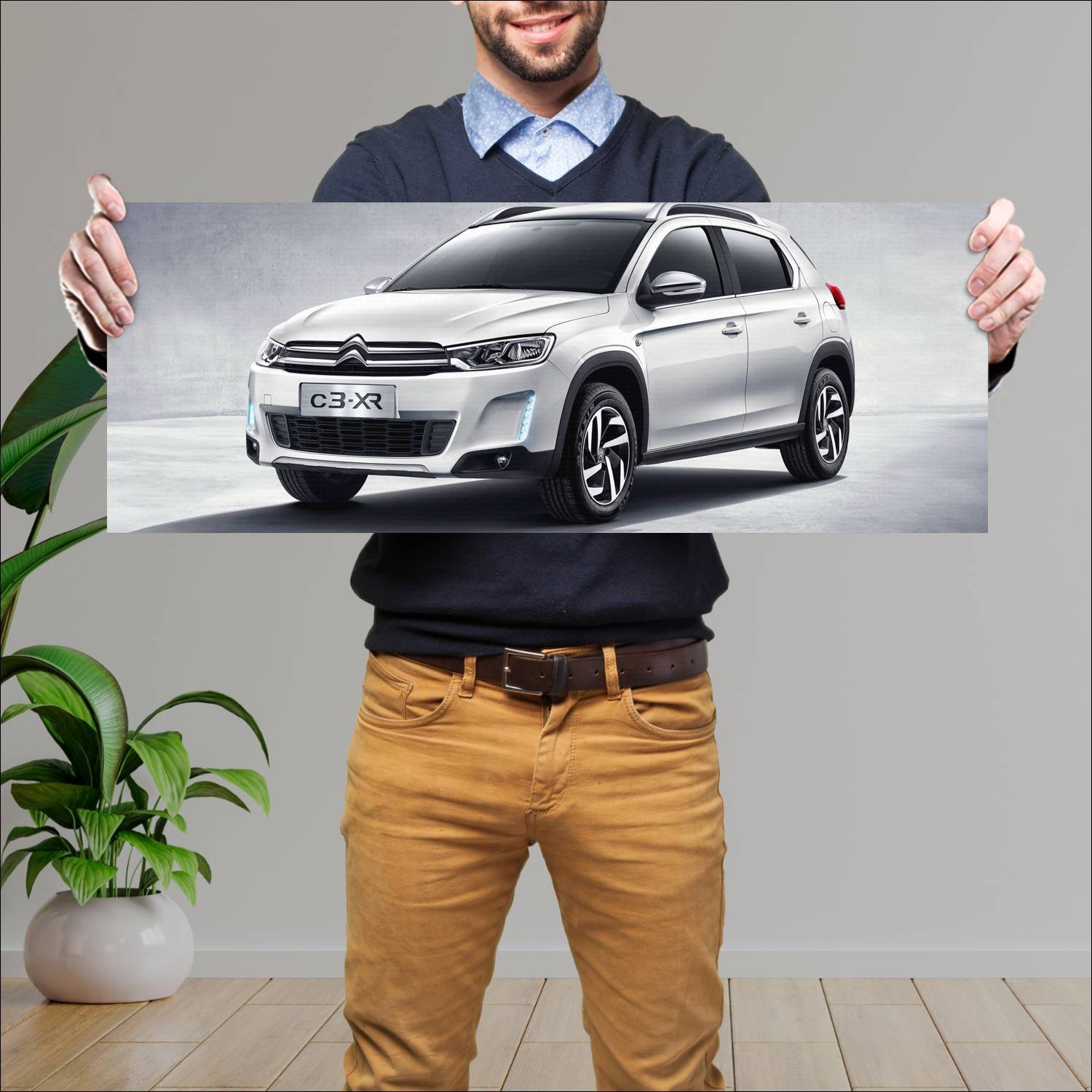 Cuadro grande 30x80cm 2014 citroen c3 xr auto 45 Citroen