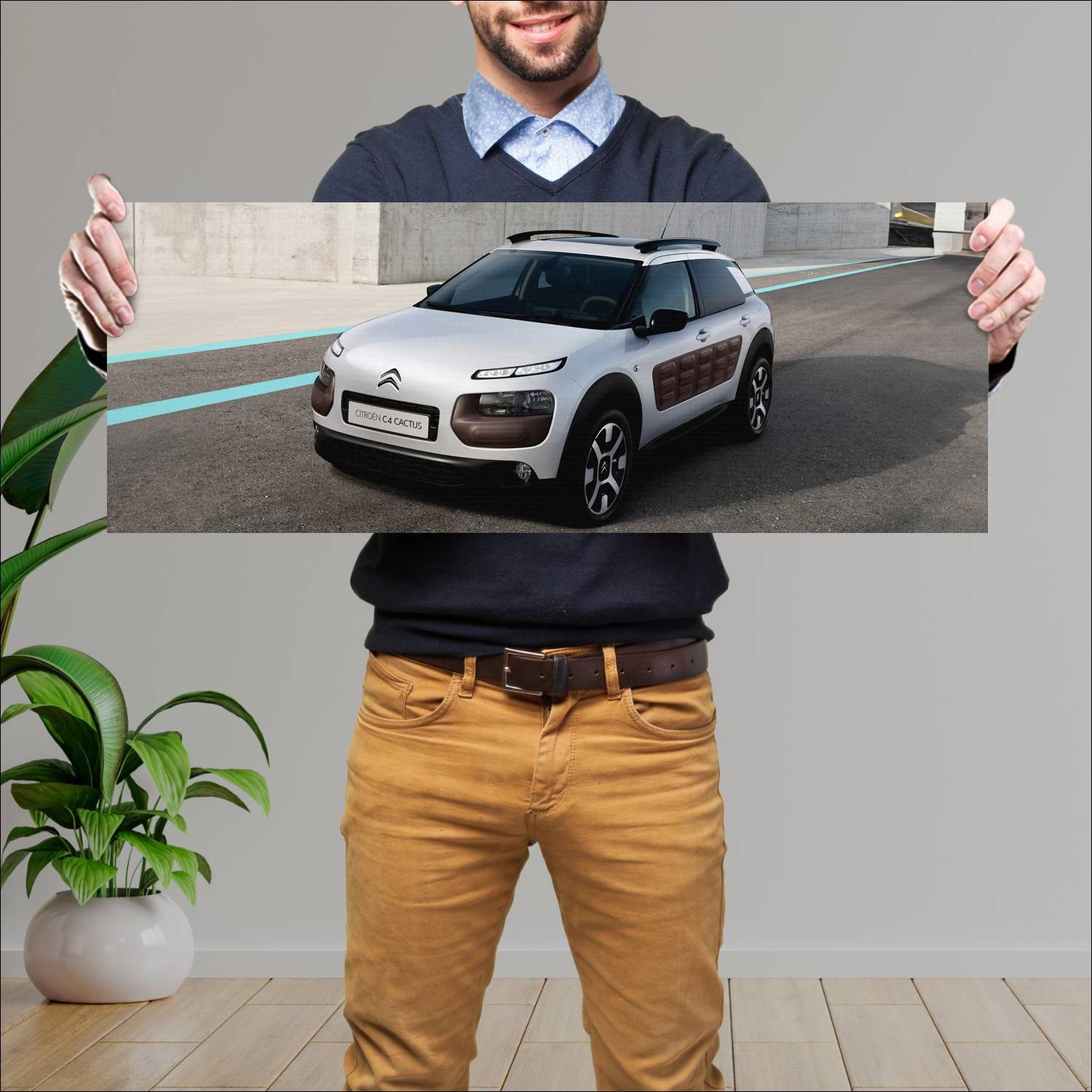Cuadro grande 30x80cm 2014 citroen c4 cactus 9886 46 Citroen