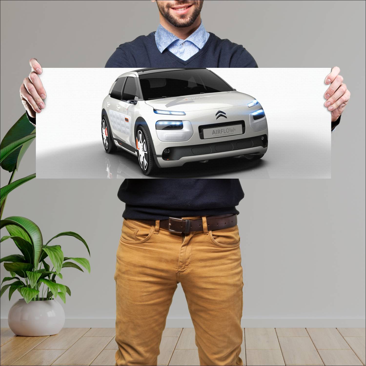 Cuadro grande 30x80cm 2014 citroen c4 cactus airfl 47 Citroen