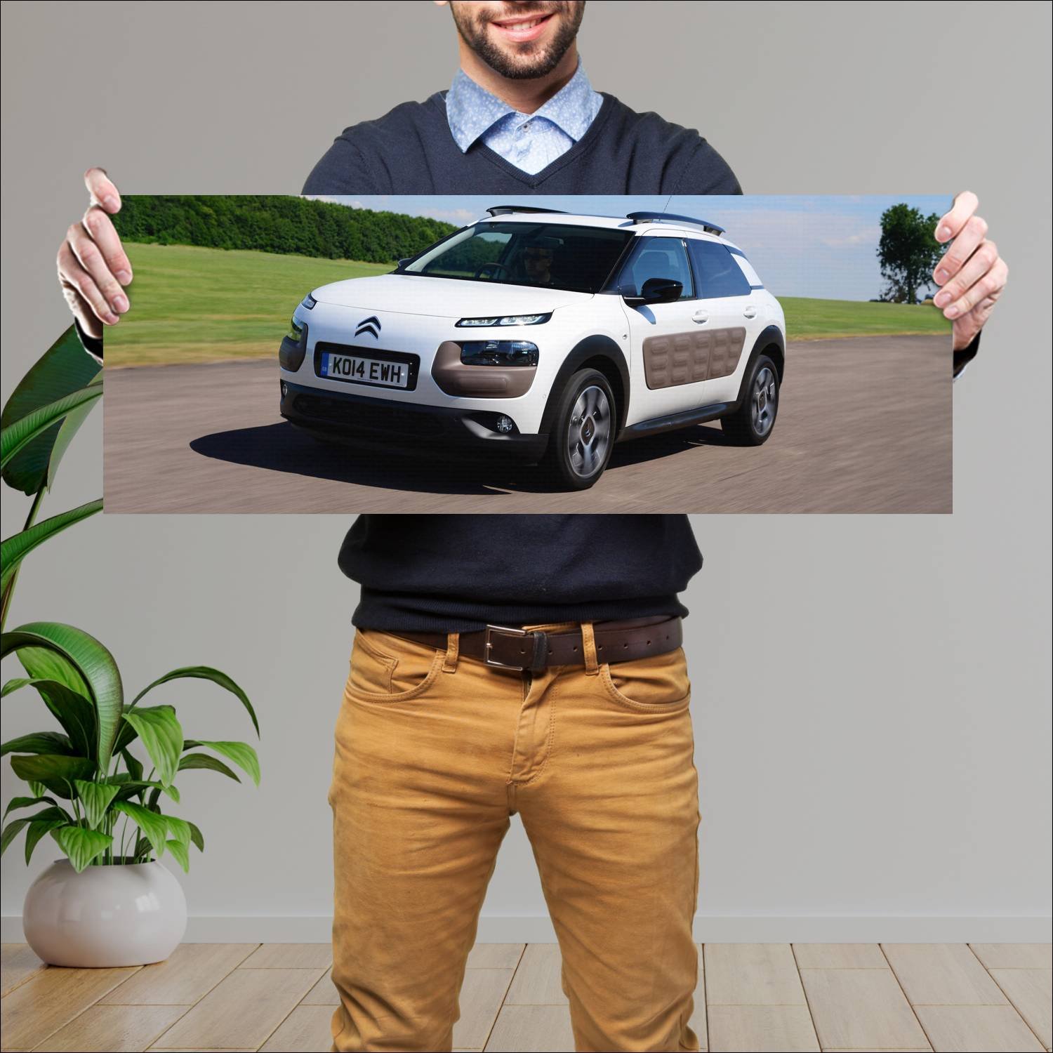 Cuadro grande 30x80cm 2014 citroen c4 cactus uk 11 48 Citroen