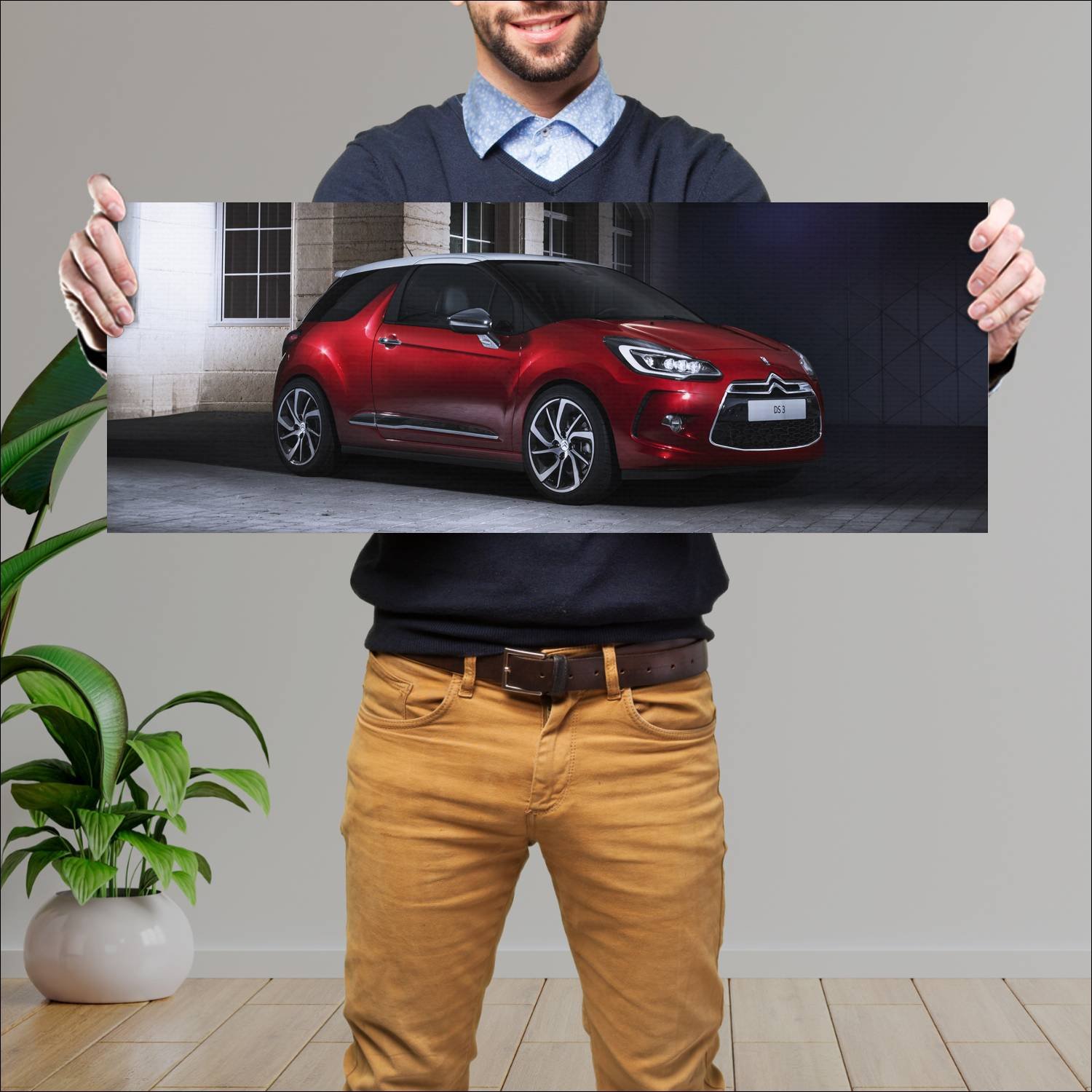 Cuadro grande 30x80cm 2014 citroen ds3 auto 50 Citroen
