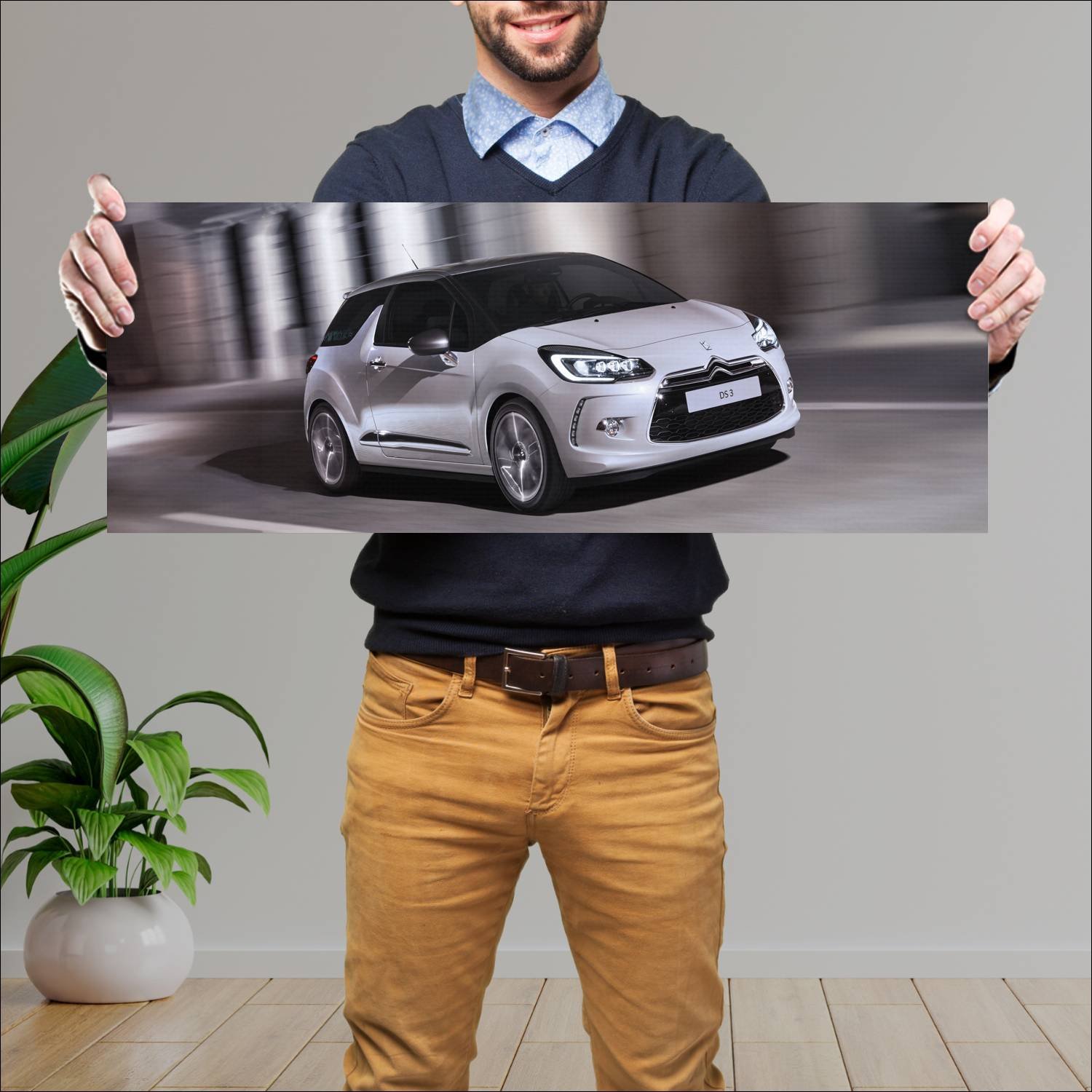 Cuadro grande 30x80cm 2014 citroen ds3 auto 51 Citroen