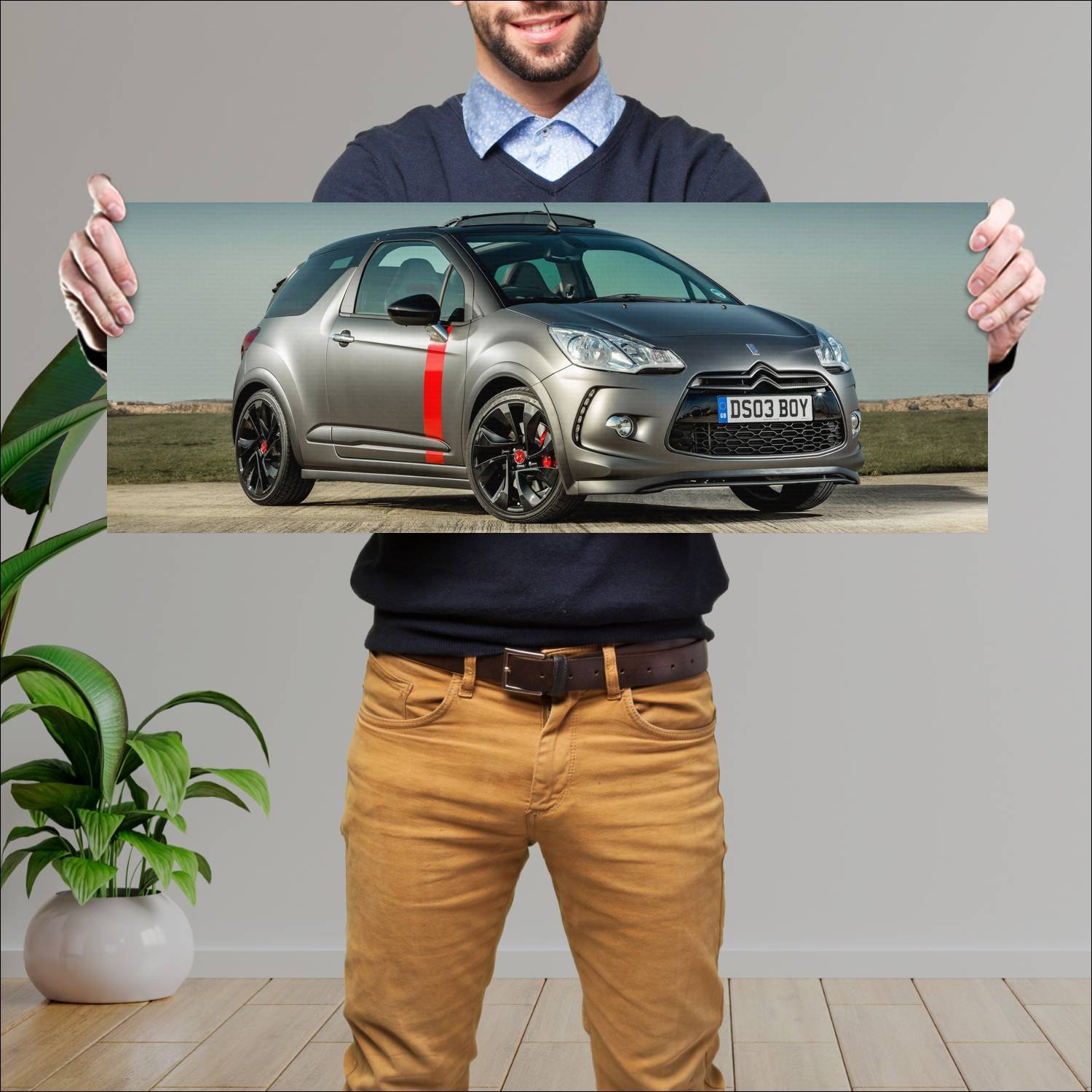 Cuadro grande 30x80cm 2014 citroen ds3 cabrio raci 53 Citroen