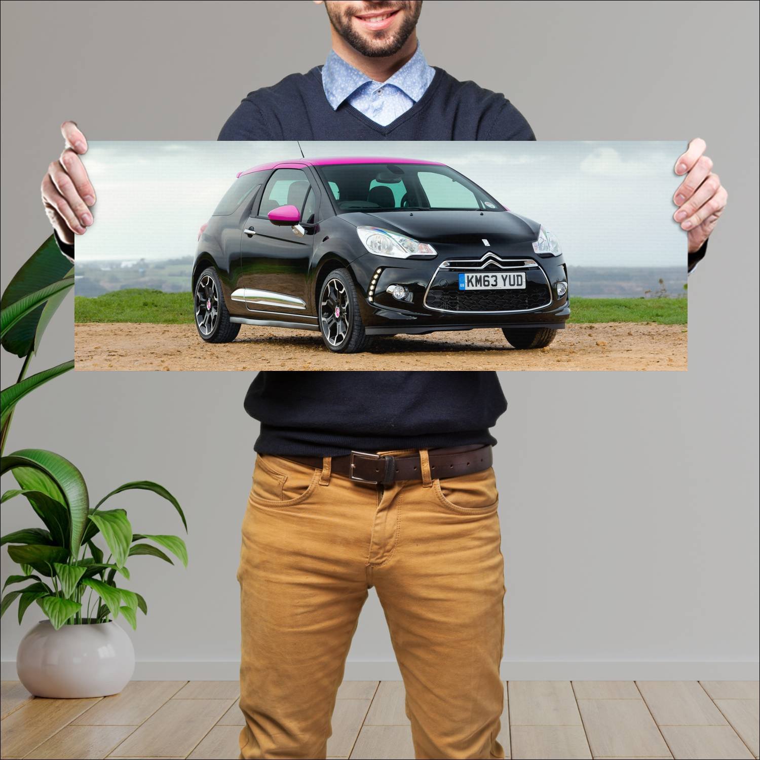 Cuadro grande 30x80cm 2014 citroen ds3 dsport pink 54 Citroen