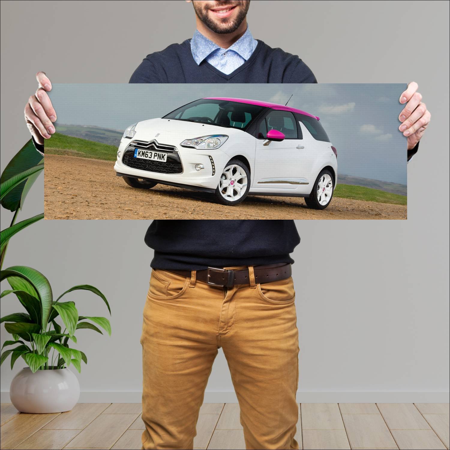 Cuadro grande 30x80cm 2014 citroen ds3 dstyle pink 55 Citroen