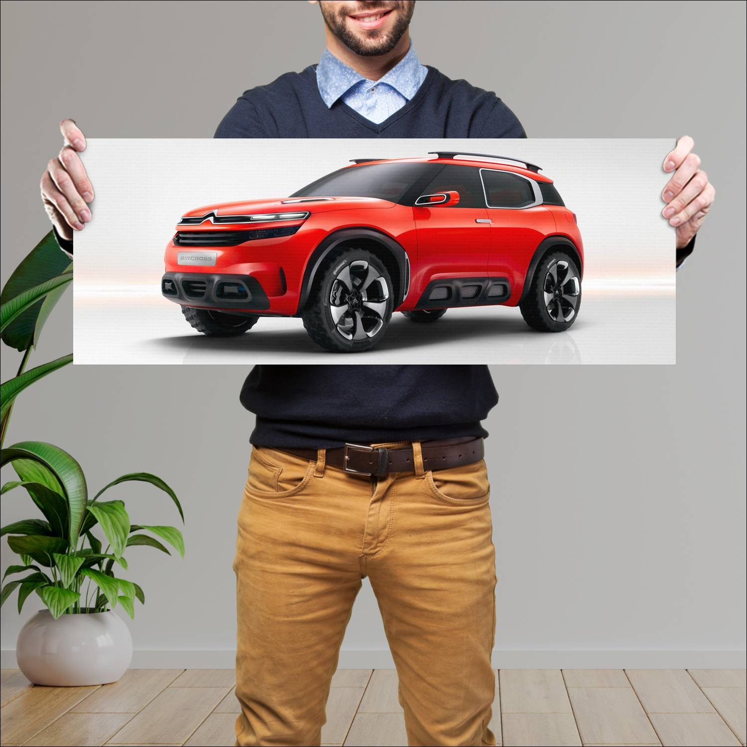 Cuadro grande 30x80cm 2015 citroen aircross concep 56 Citroen