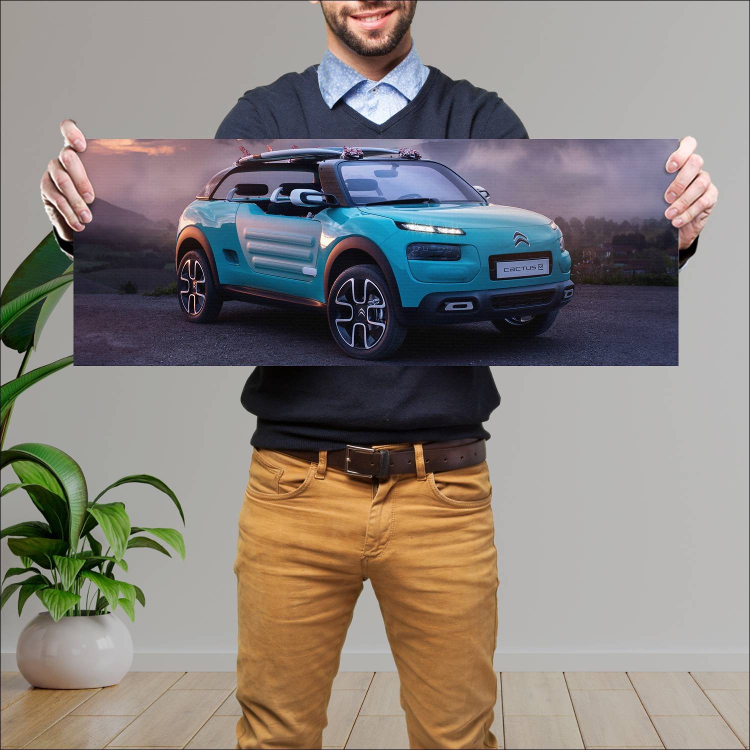 Cuadro grande 30x80cm 2015 citroen cactus m concep 57 Citroen
