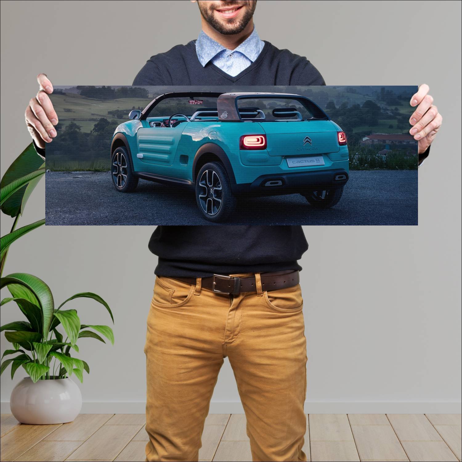 Cuadro grande 30x80cm 2015 citroen cactus m concep 58 Citroen
