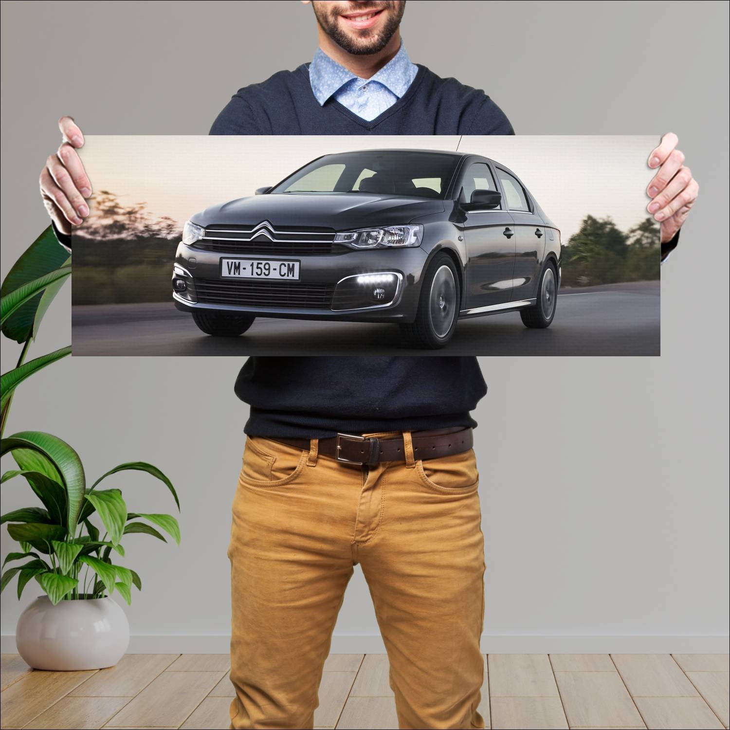 Cuadro grande 30x80cm 2016 citroen c elysee auto 59 Citroen