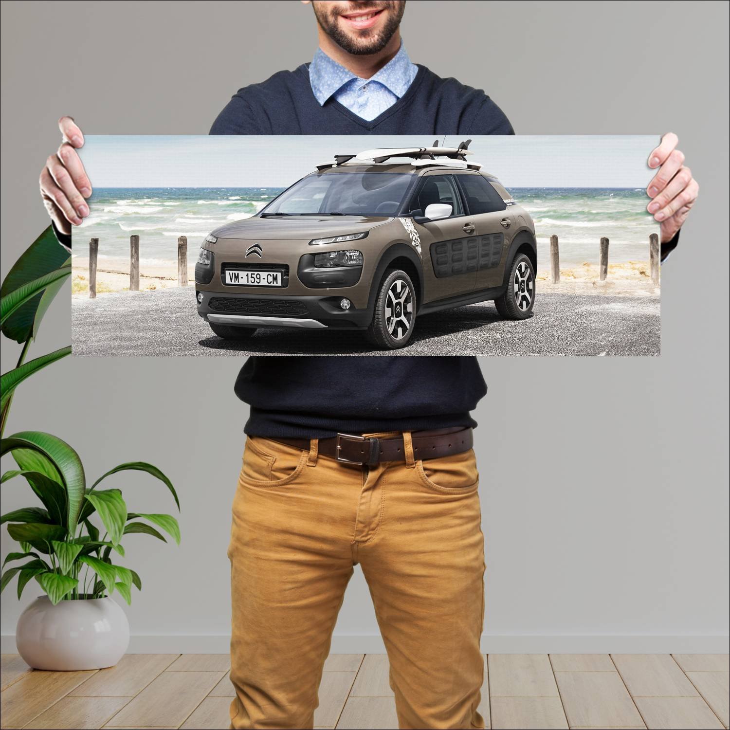 Cuadro grande 30x80cm 2016 citroen c4 cactus rip c 62 Citroen