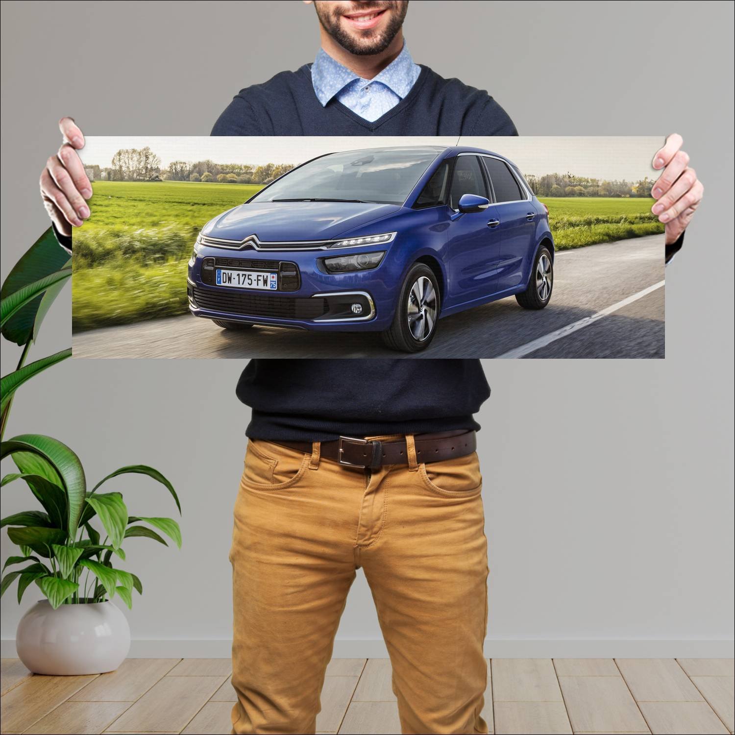 Cuadro grande 30x80cm 2016 citroen c4 picasso 4575 63 Citroen