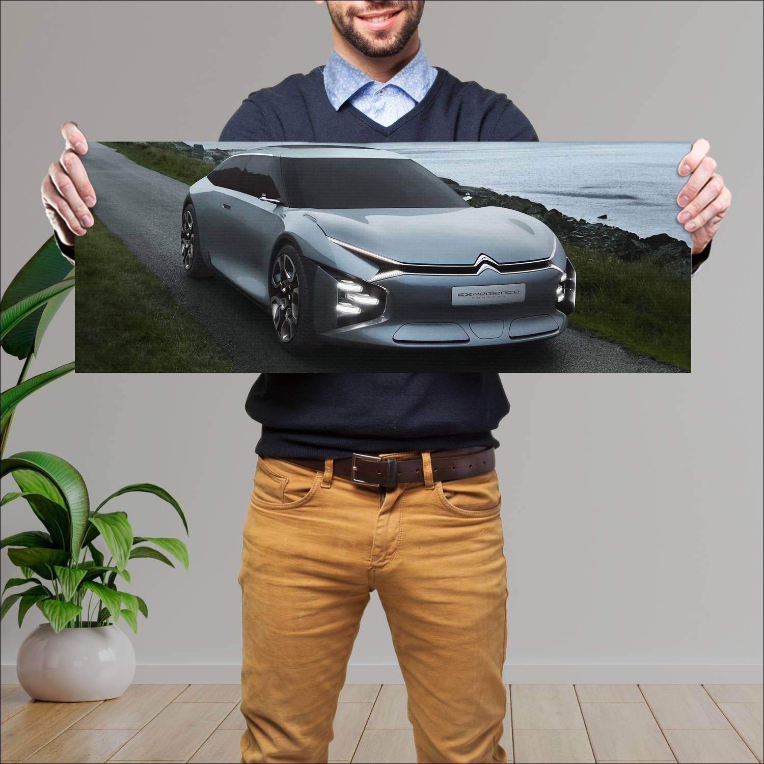 Cuadro grande 30x80cm 2016 citroen cxperience conc 65 Citroen