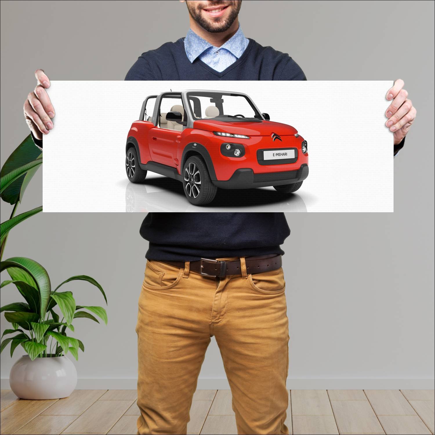 Cuadro grande 30x80cm 2016 citroen e mehari auto 66 Citroen
