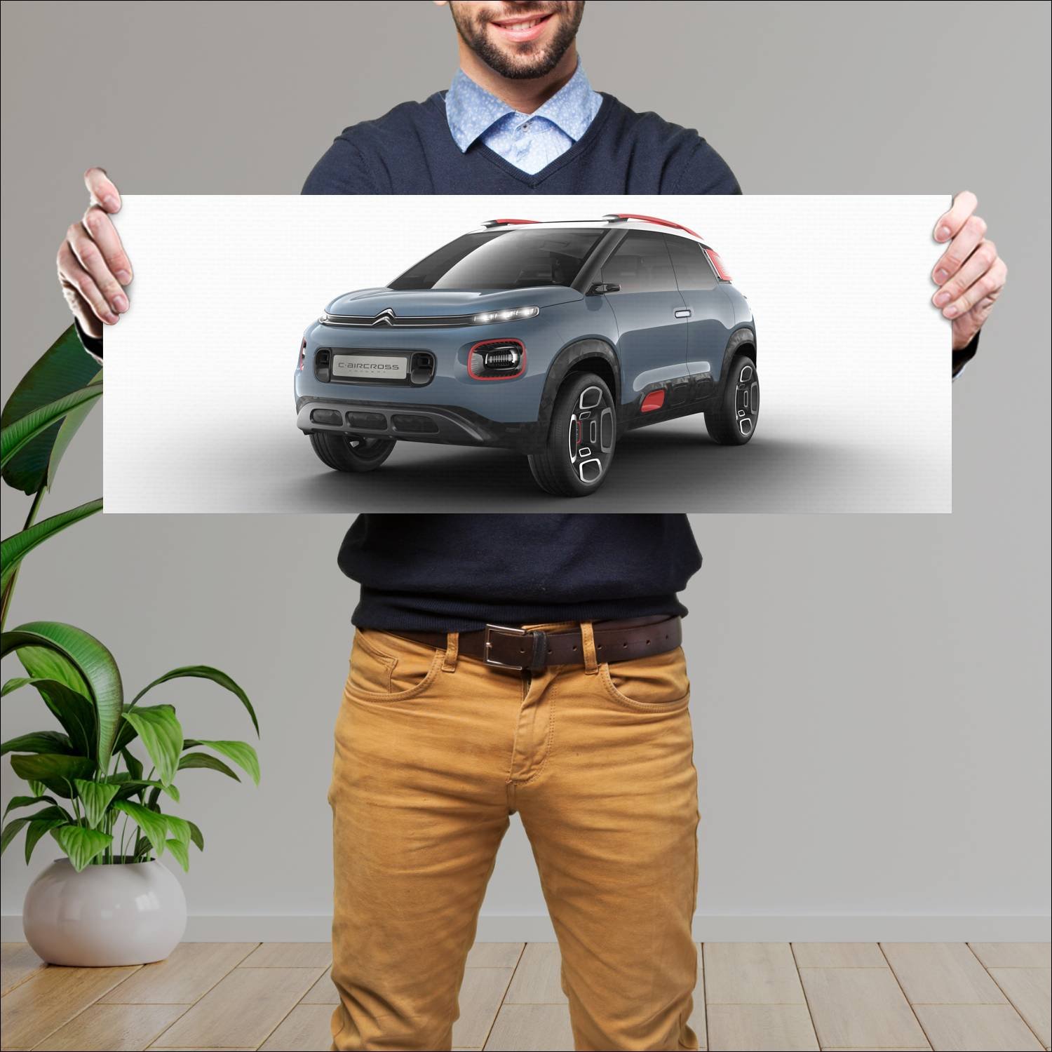 Cuadro grande 30x80cm 2017 citroen c aircross conc 71 Citroen