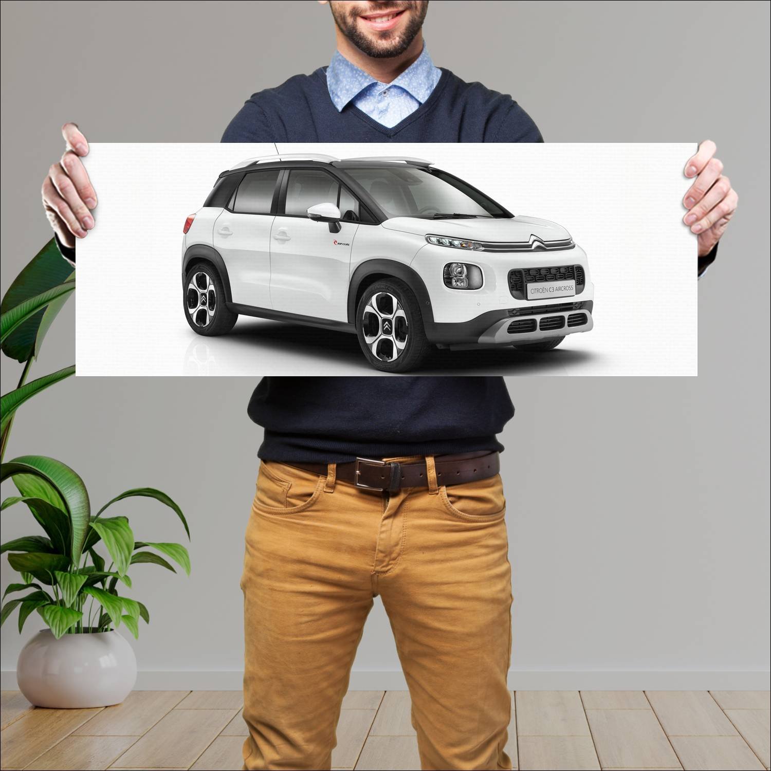Cuadro grande 30x80cm 2018 citroen c3 aircross rip 76 Citroen