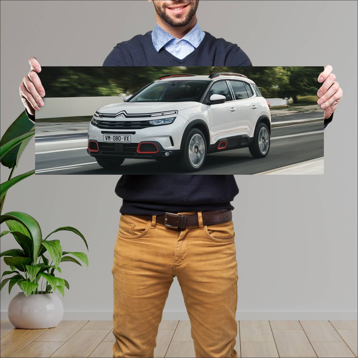 Cuadro grande 30x80cm 2018 citroen c5 aircross 781 80 Citroen