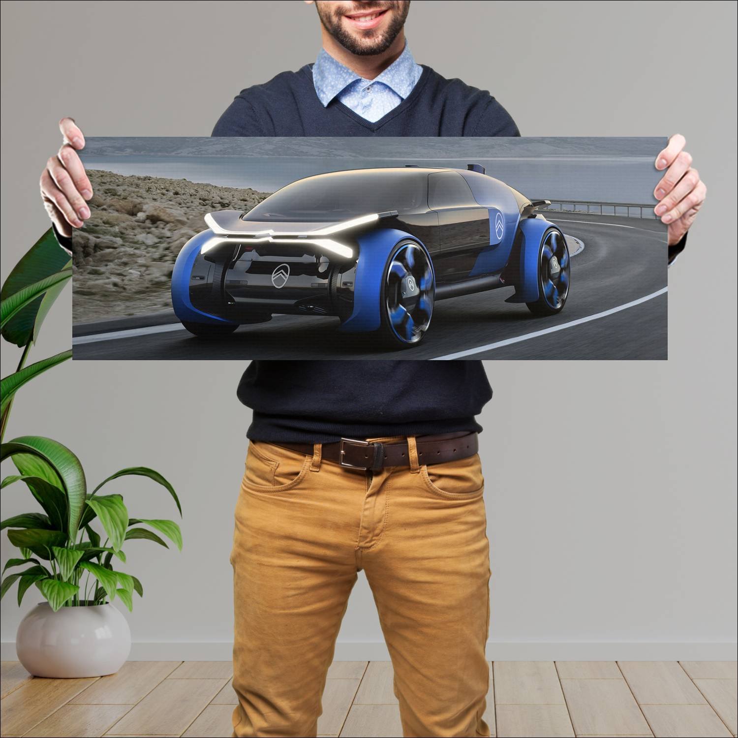 Cuadro grande 30x80cm 2019 citroen 19 19 concept 9 84 Citroen