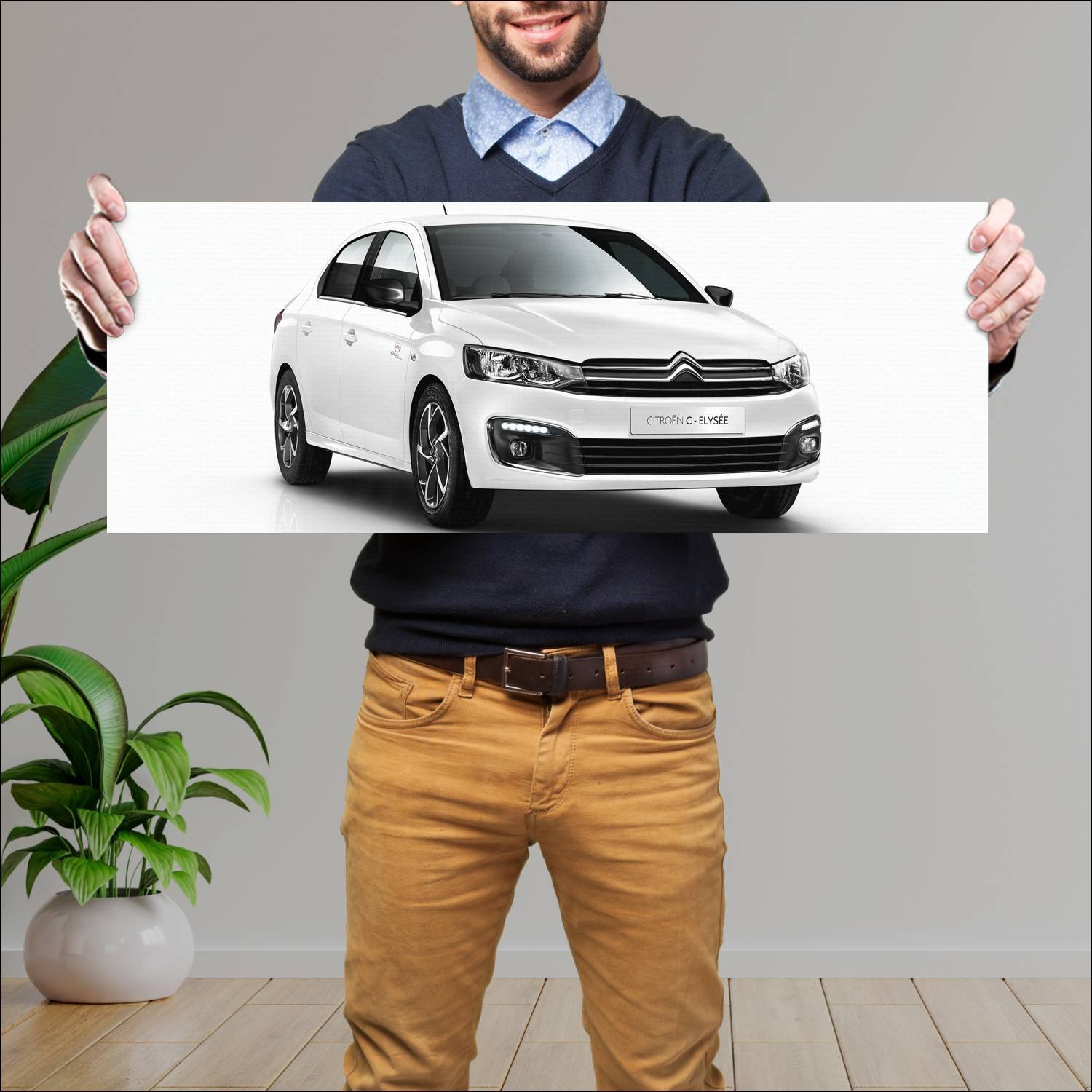 Cuadro grande 30x80cm 2019 citroen c elysee origin 86 Citroen