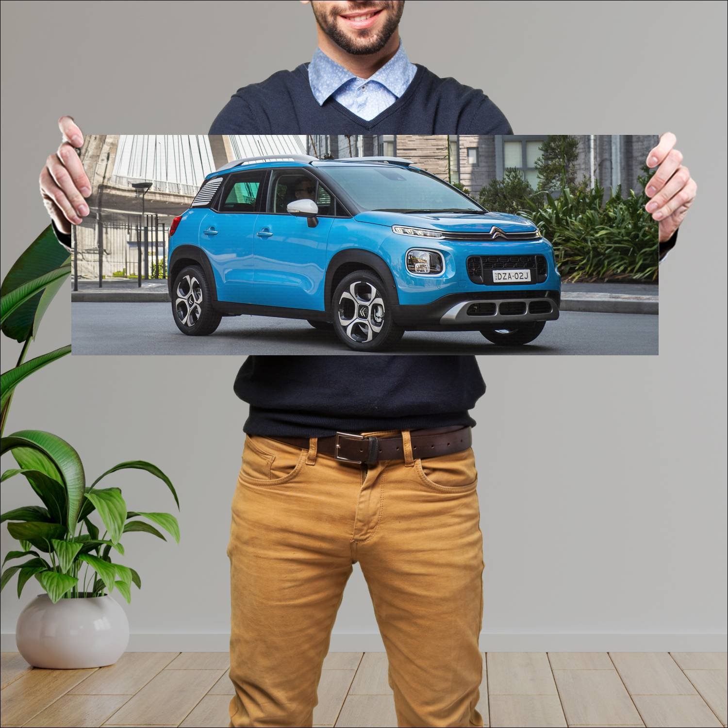 Cuadro grande 30x80cm 2019 citroen c3 aircross au 87 Citroen