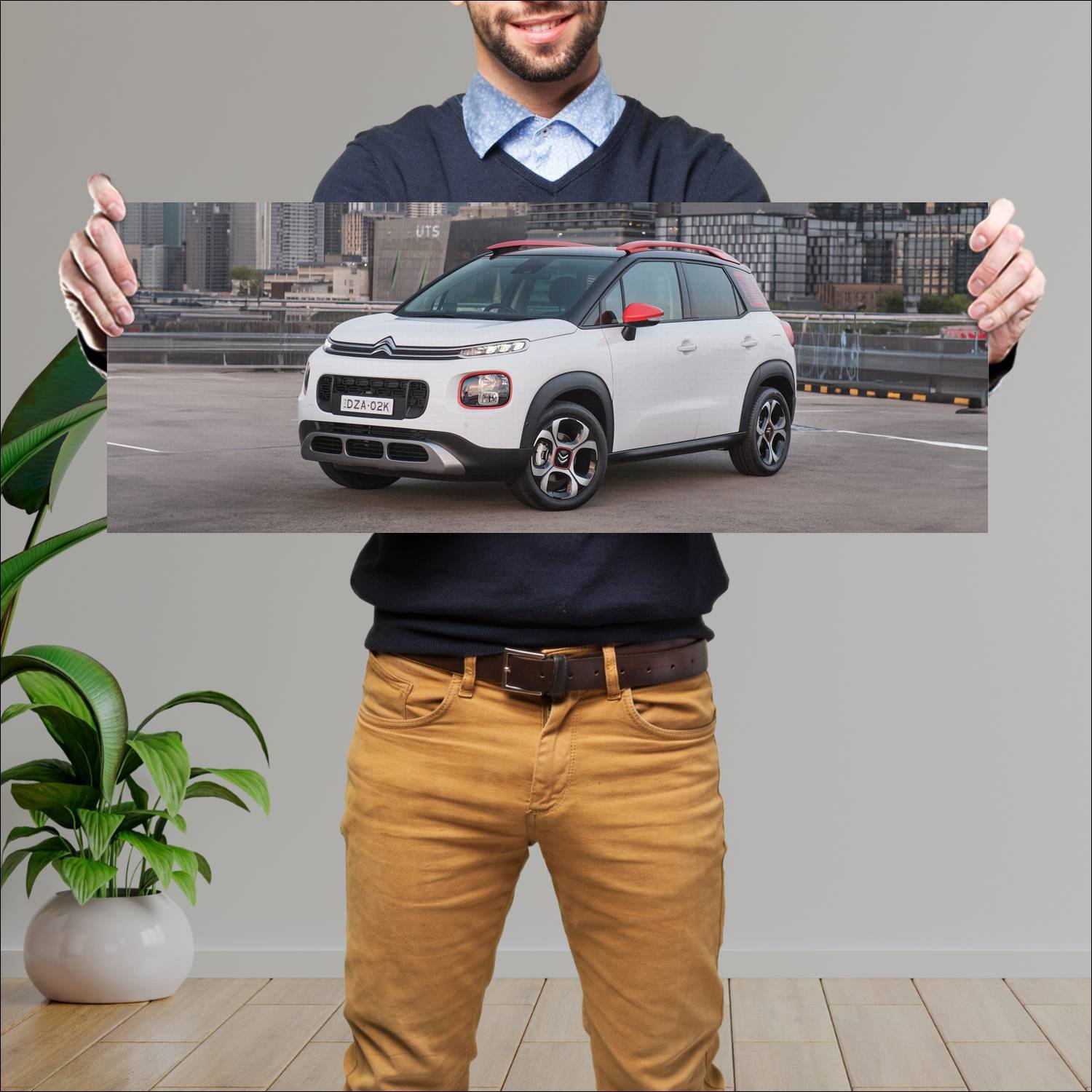Cuadro grande 30x80cm 2019 citroen c3 aircross au 88 Citroen