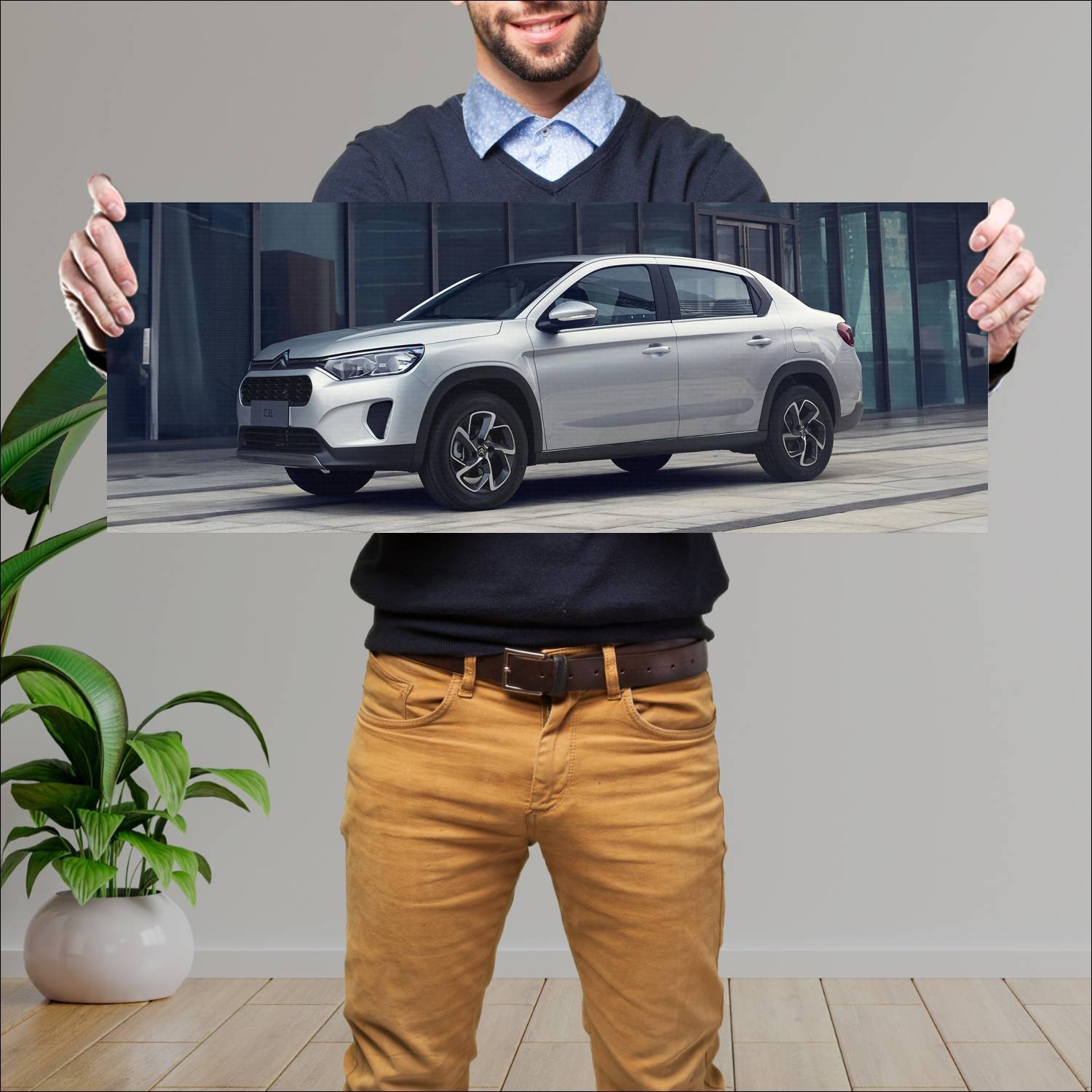 Cuadro grande 30x80cm 2020 citroen c3l auto 91 Citroen