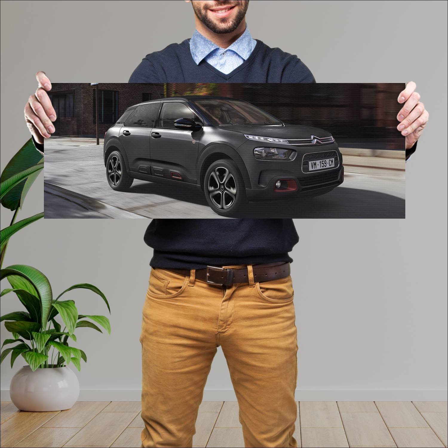 Cuadro grande 30x80cm 2020 citroen c4 cactus c ser 94 Citroen