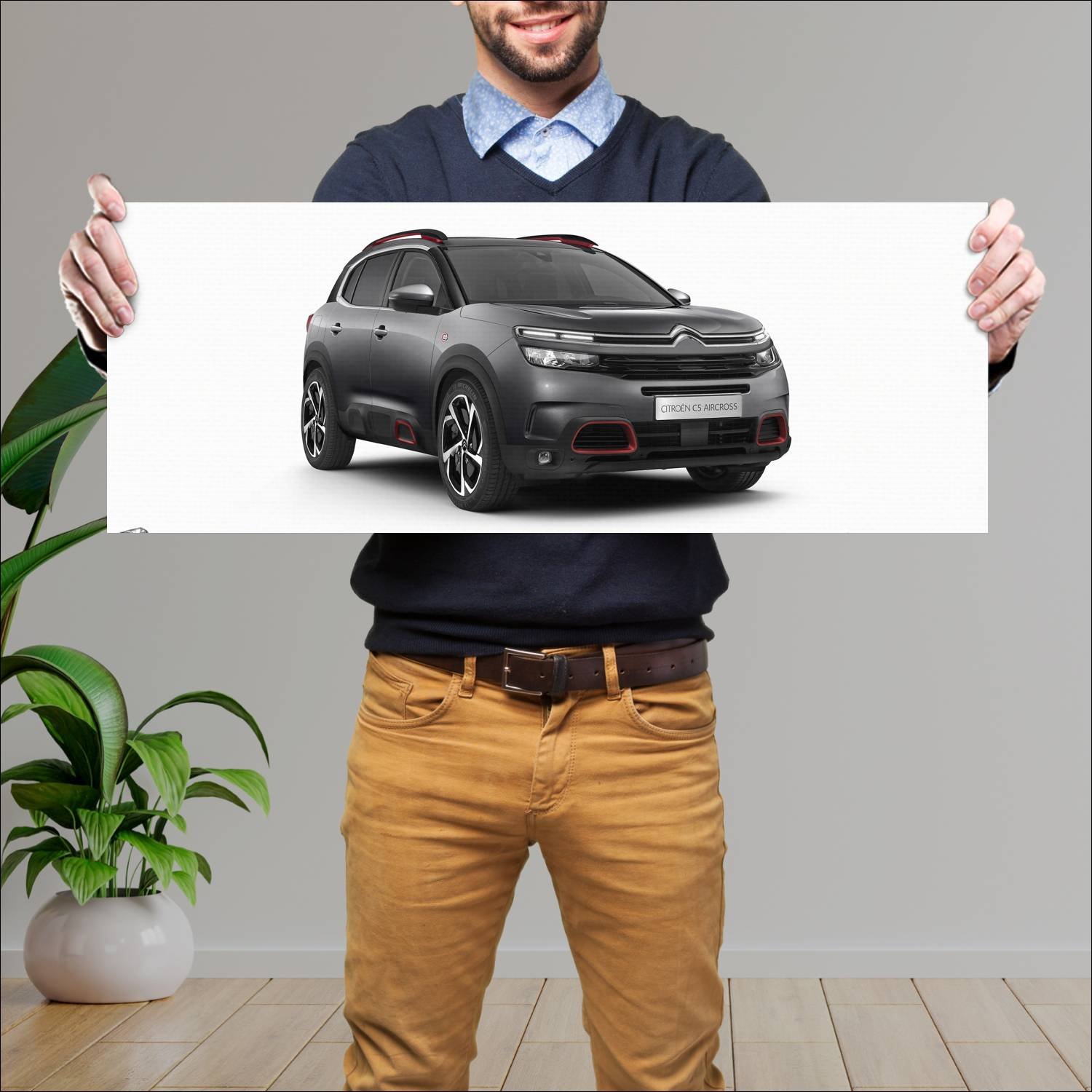 Cuadro grande 30x80cm 2020 citroen c5 aircross c s 95 Citroen