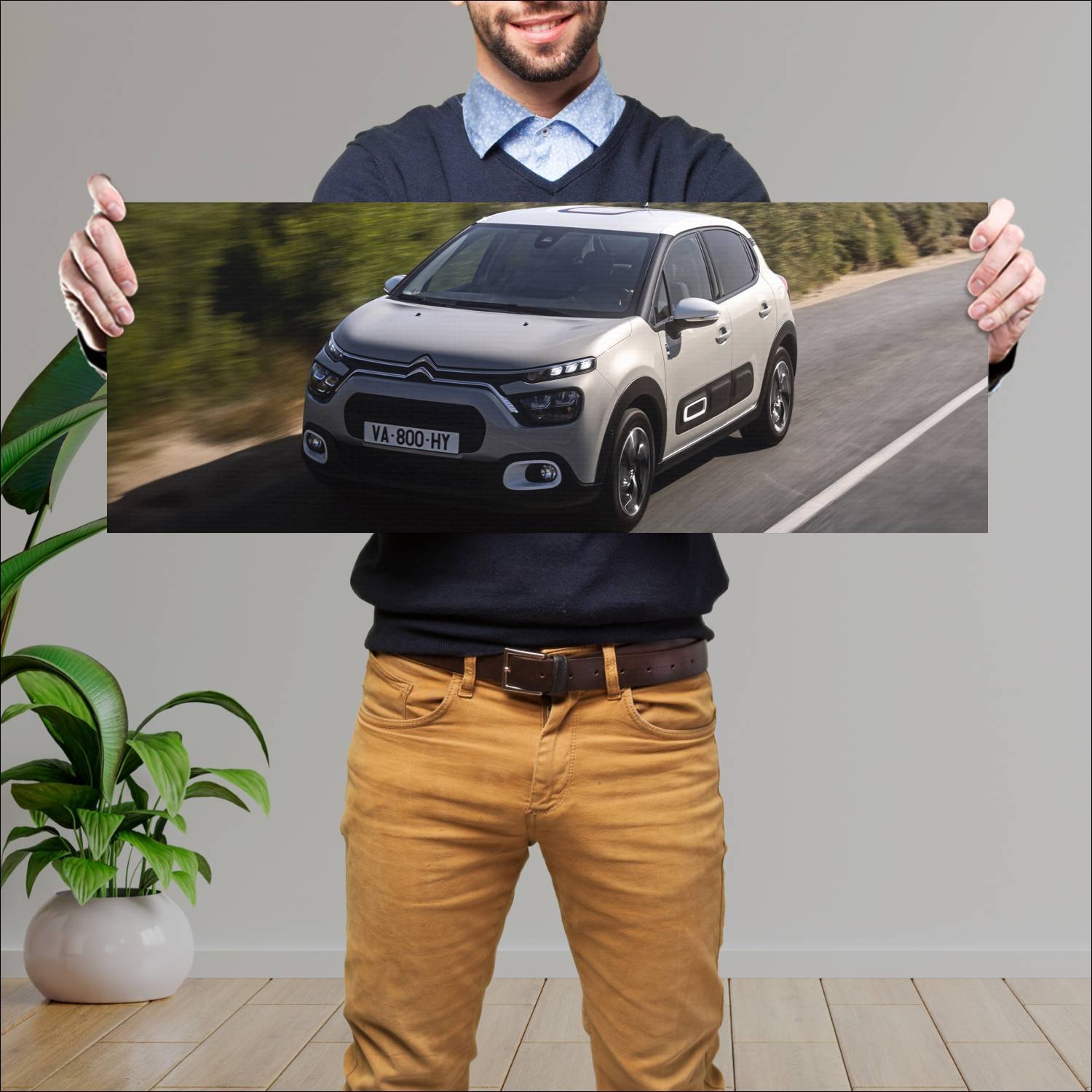 Cuadro grande 30x80cm 2021 citroen c3 saint james 98 Citroen