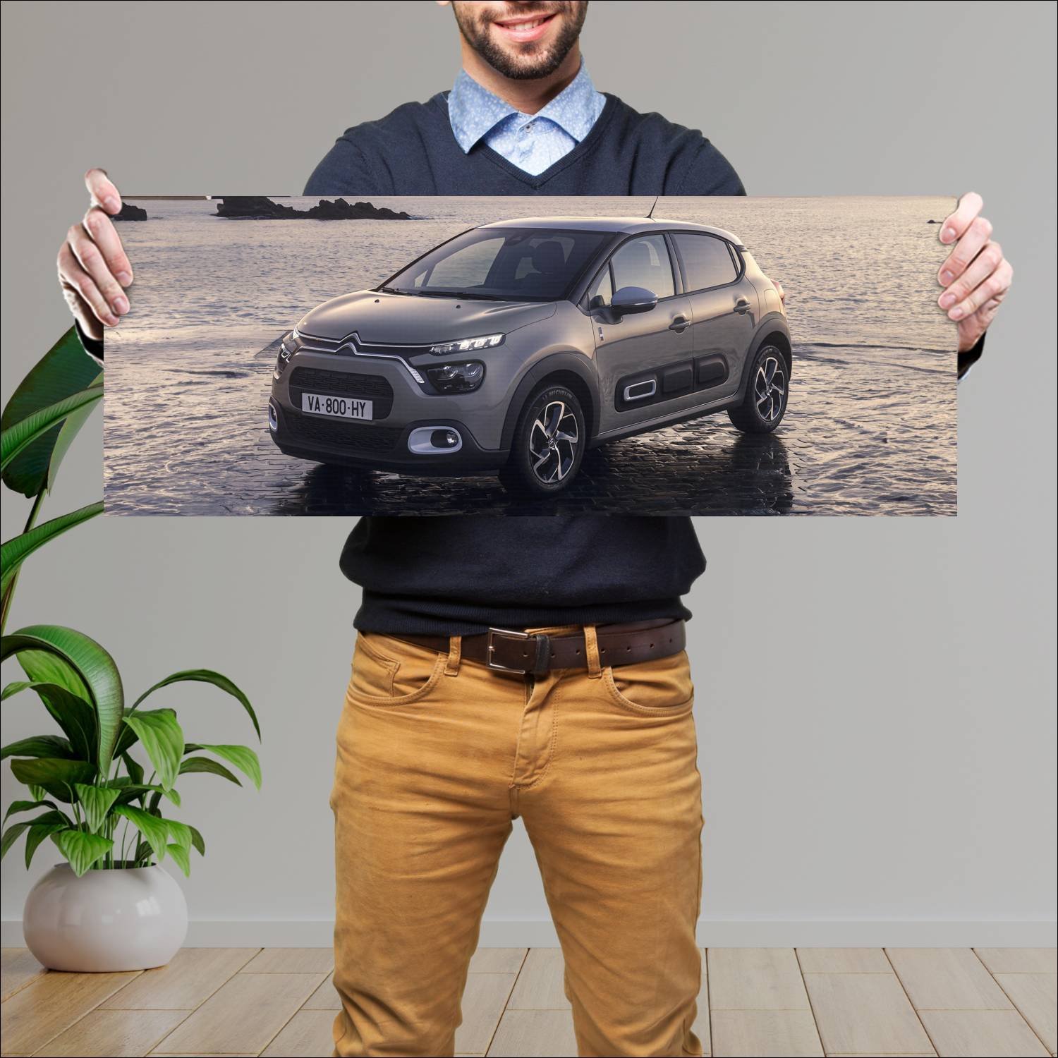 Cuadro grande 30x80cm 2021 citroen c3 saint james 99 Citroen