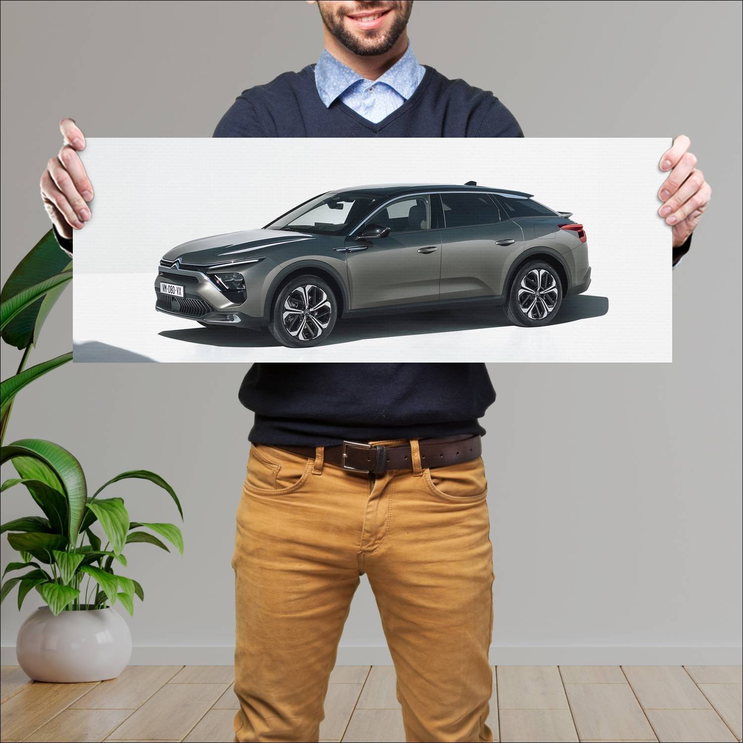 Cuadro grande 30x80cm 2021 citroen c5 x auto 100 Citroen