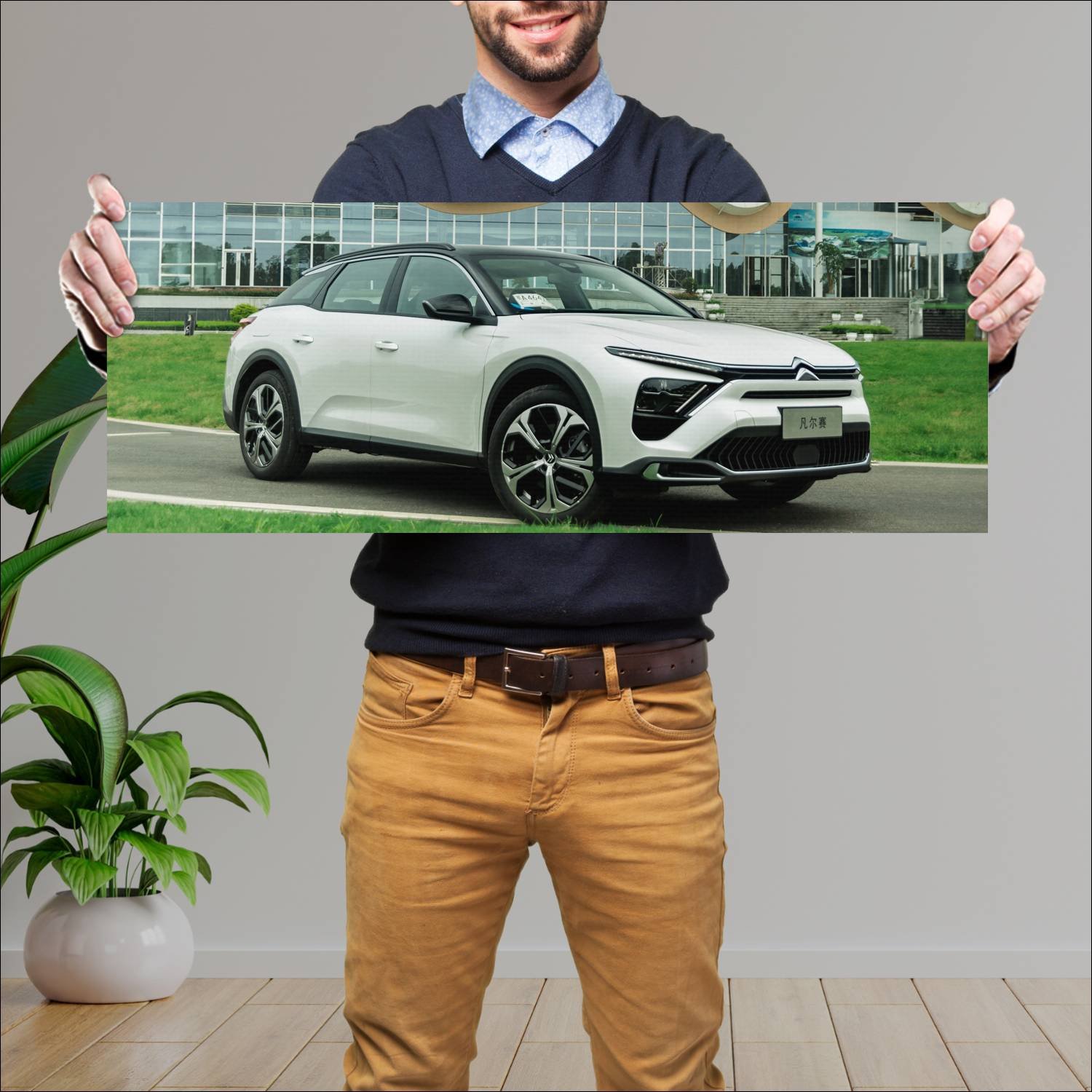 Cuadro grande 30x80cm 2021 citroen c5 x cn auto 101 Citroen