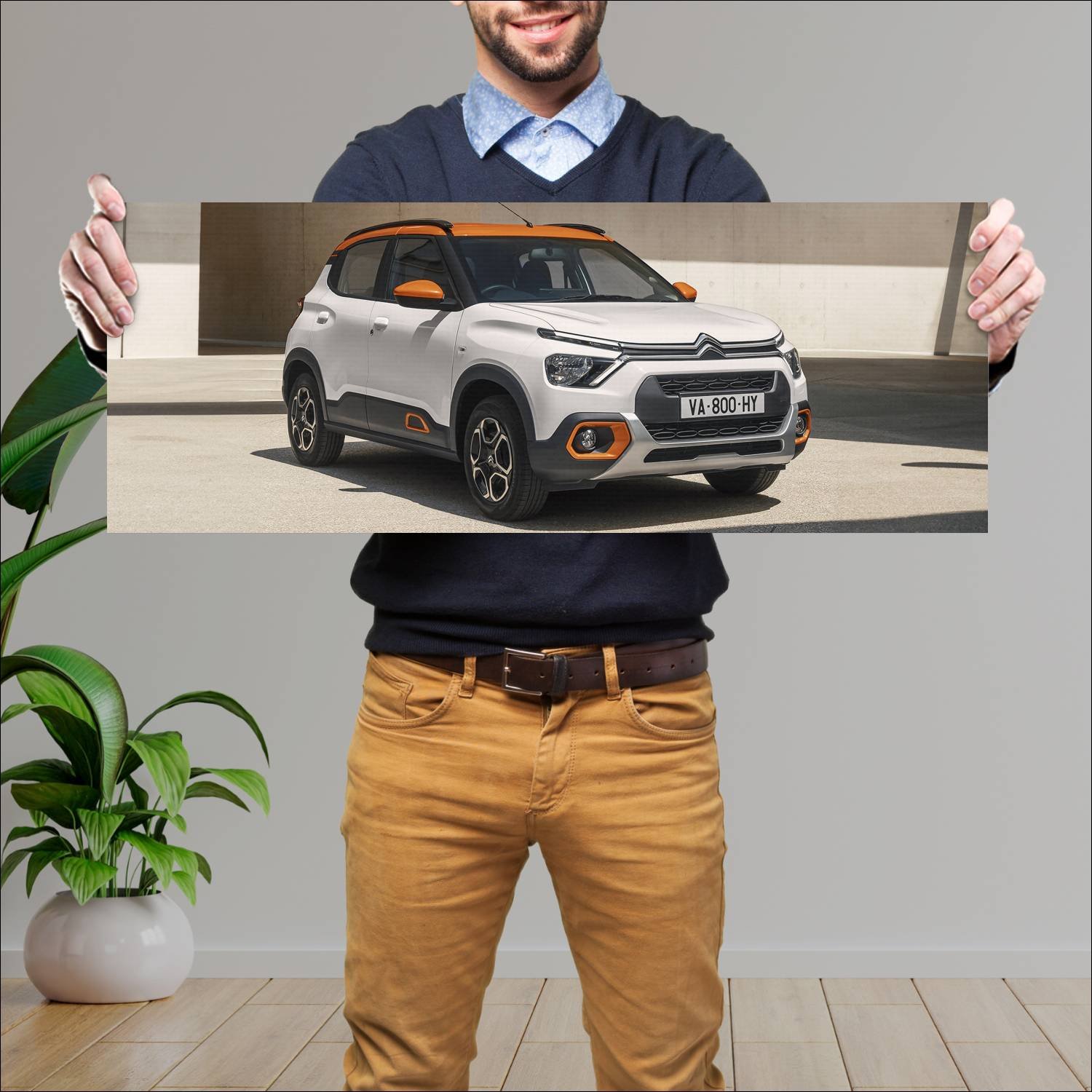Cuadro grande 30x80cm 2022 citroen c3 in auto 104 Citroen