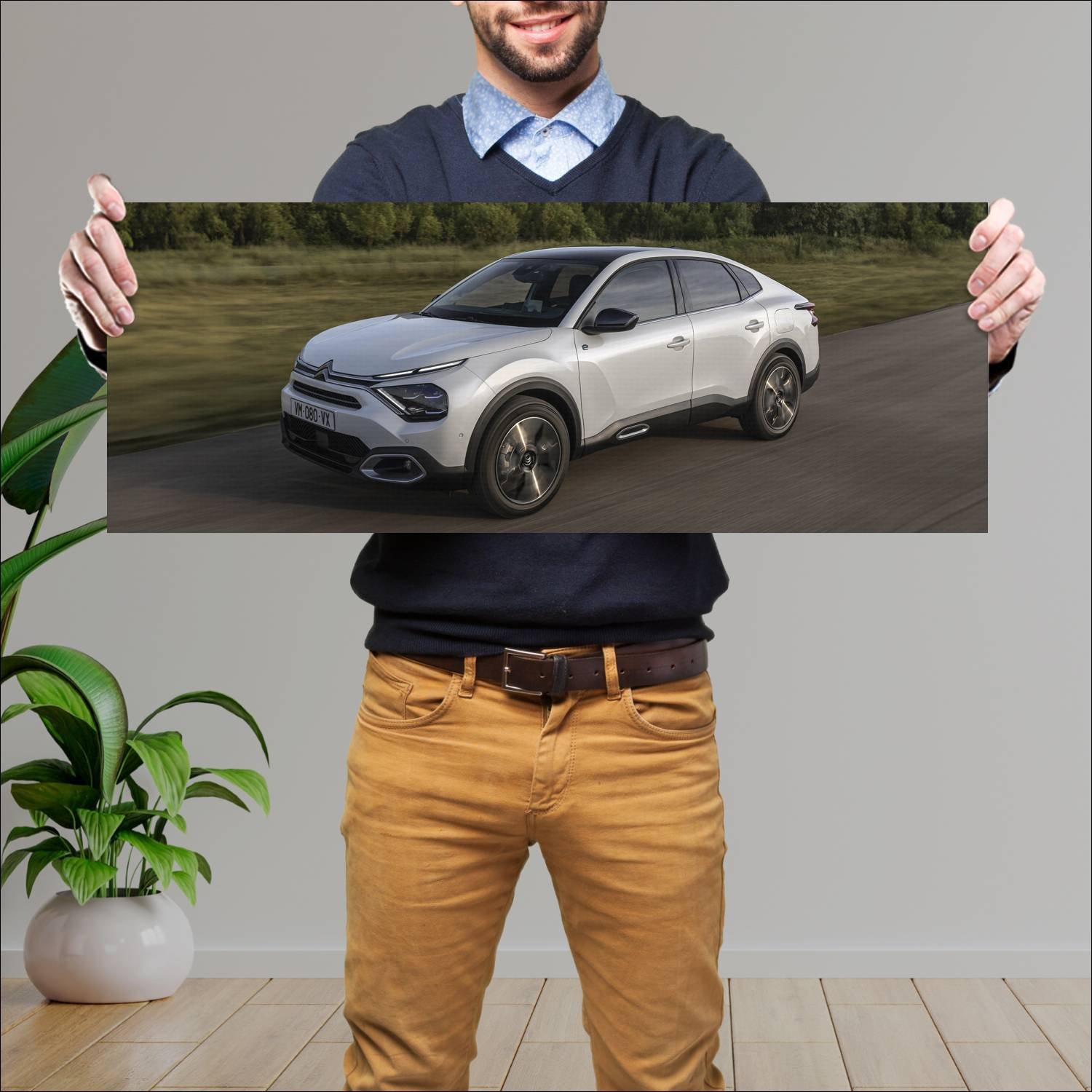 Cuadro grande 30x80cm 2022 citroen e c4 x auto 106 Citroen