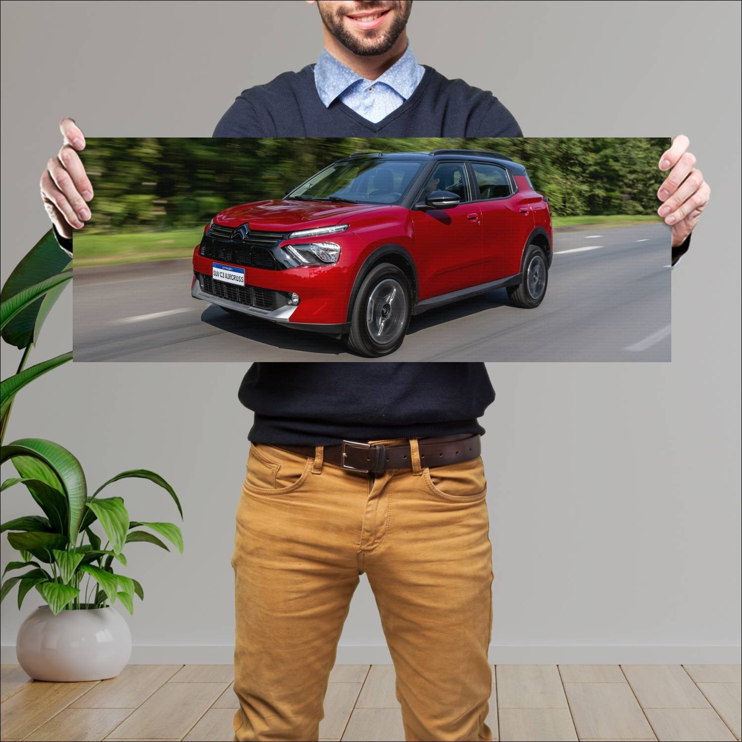 Cuadro grande 30x80cm 2023 citroen c3 aircross br 108 Citroen