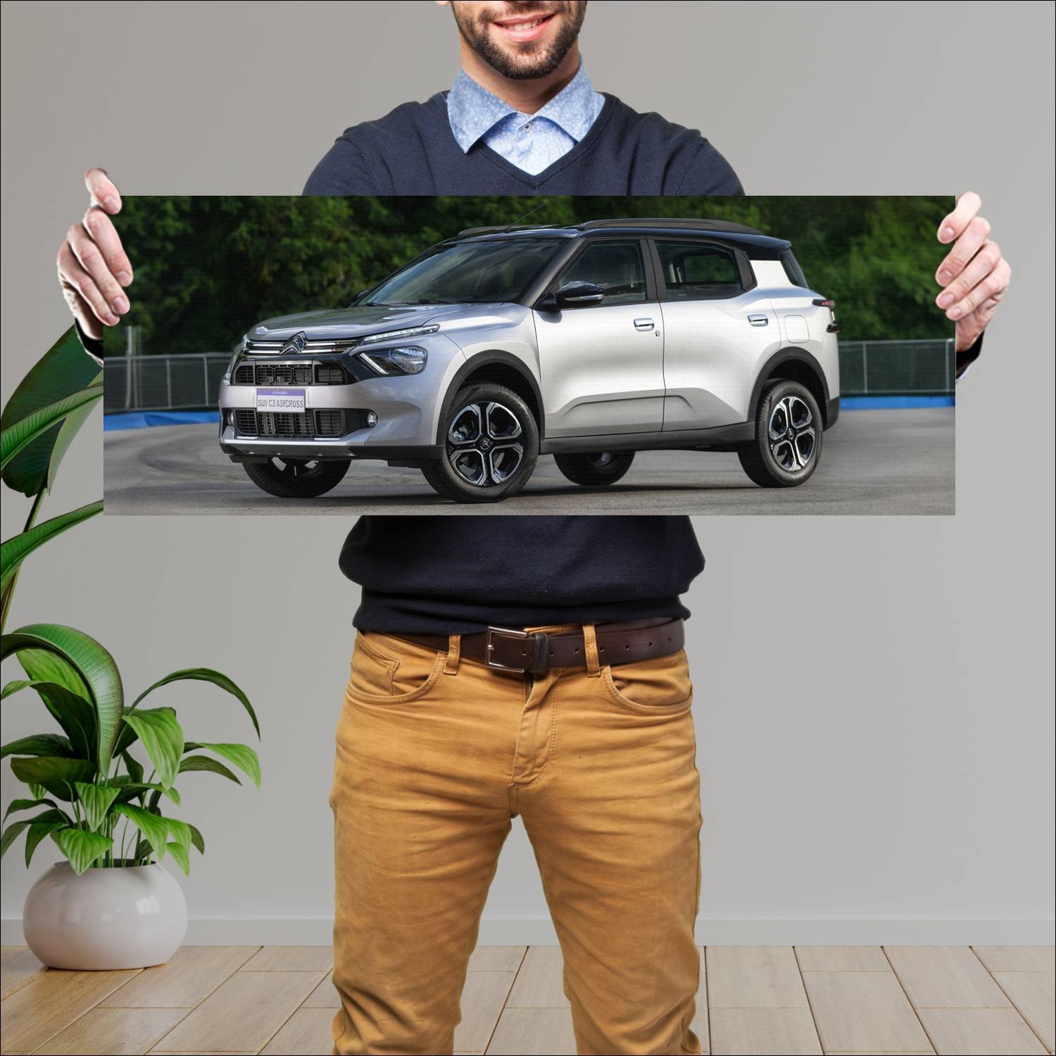 Cuadro grande 30x80cm 2023 citroen c3 aircross br 109 Citroen