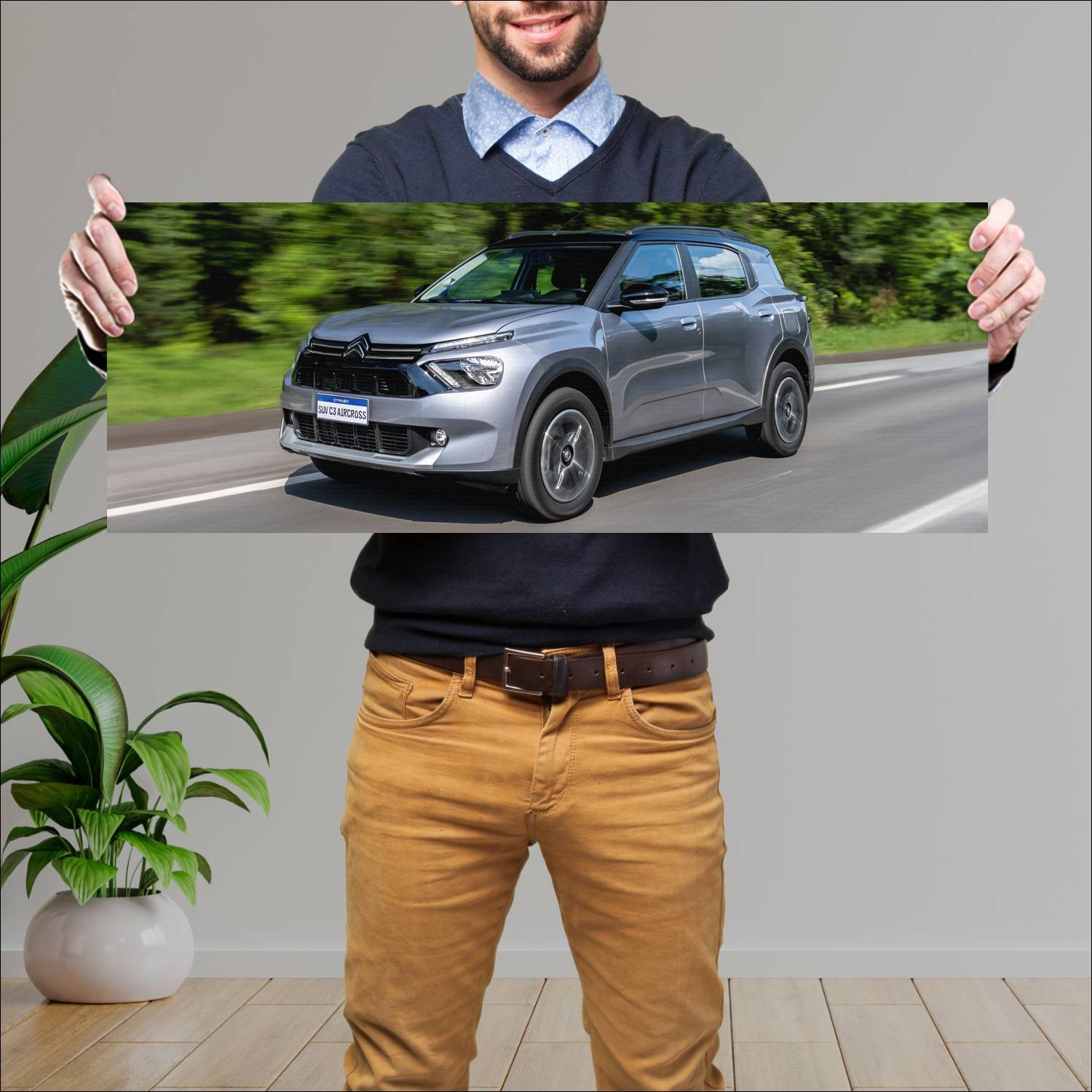 Cuadro grande 30x80cm 2023 citroen c3 aircross br 110 Citroen