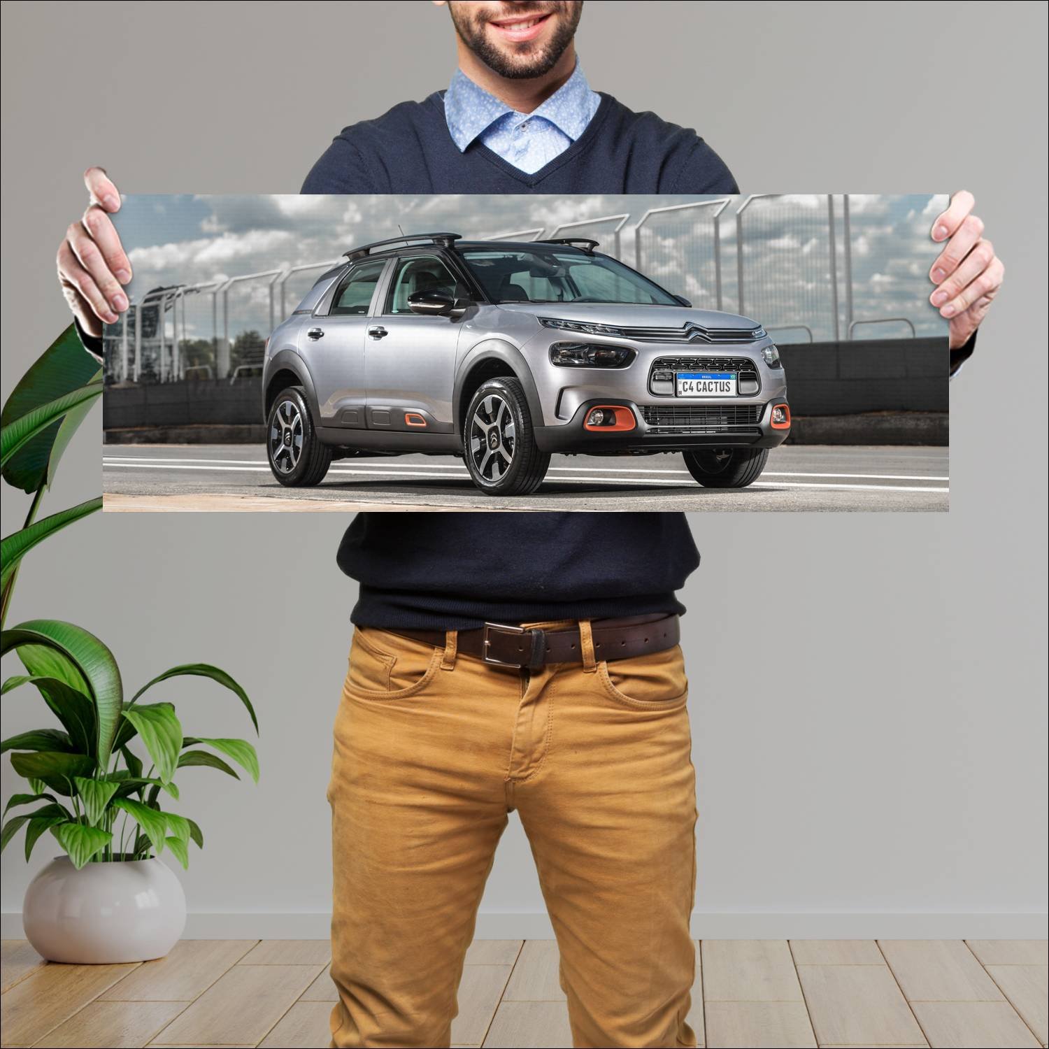 Cuadro grande 30x80cm 2023 citroen c4 cactus br 11 111 Citroen