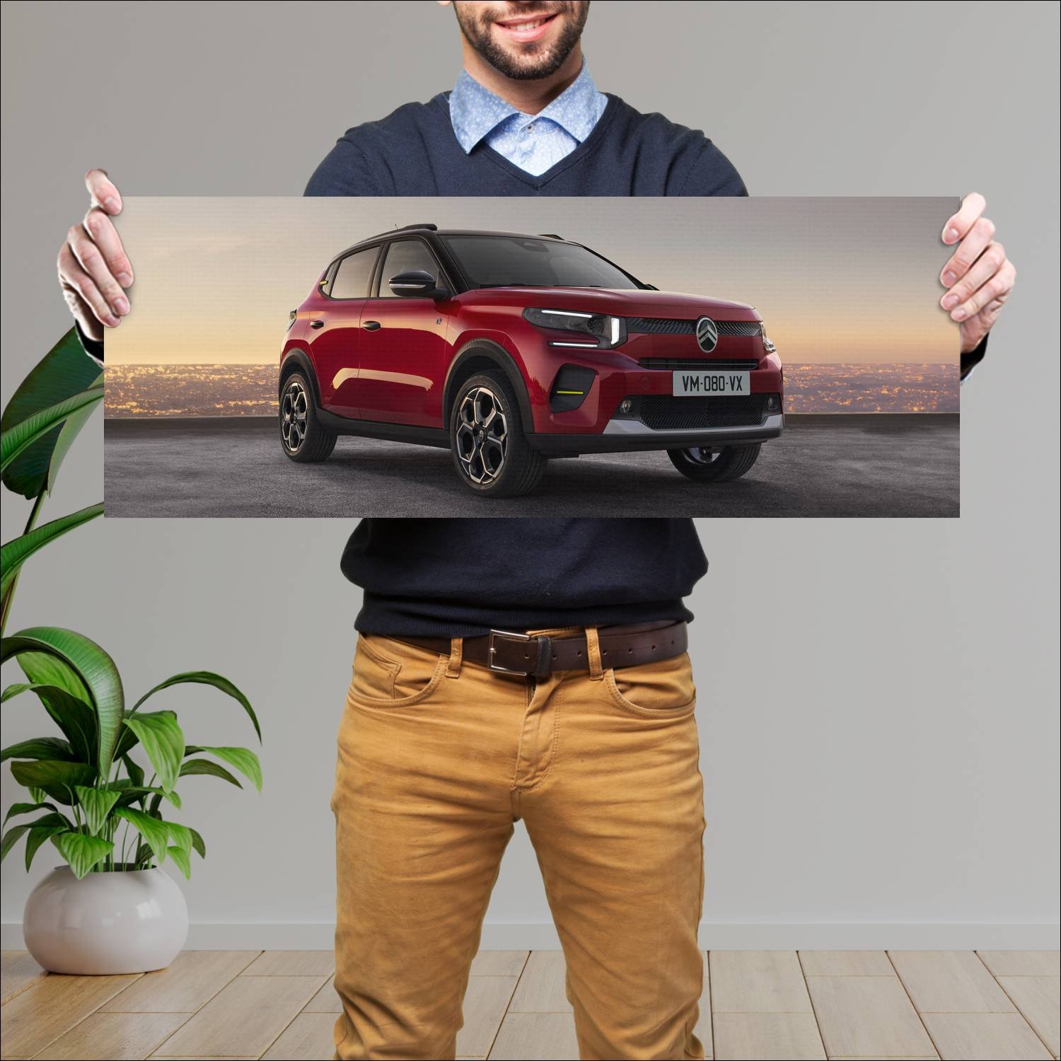 Cuadro grande 30x80cm 2024 citroen e c3 auto 112 Citroen
