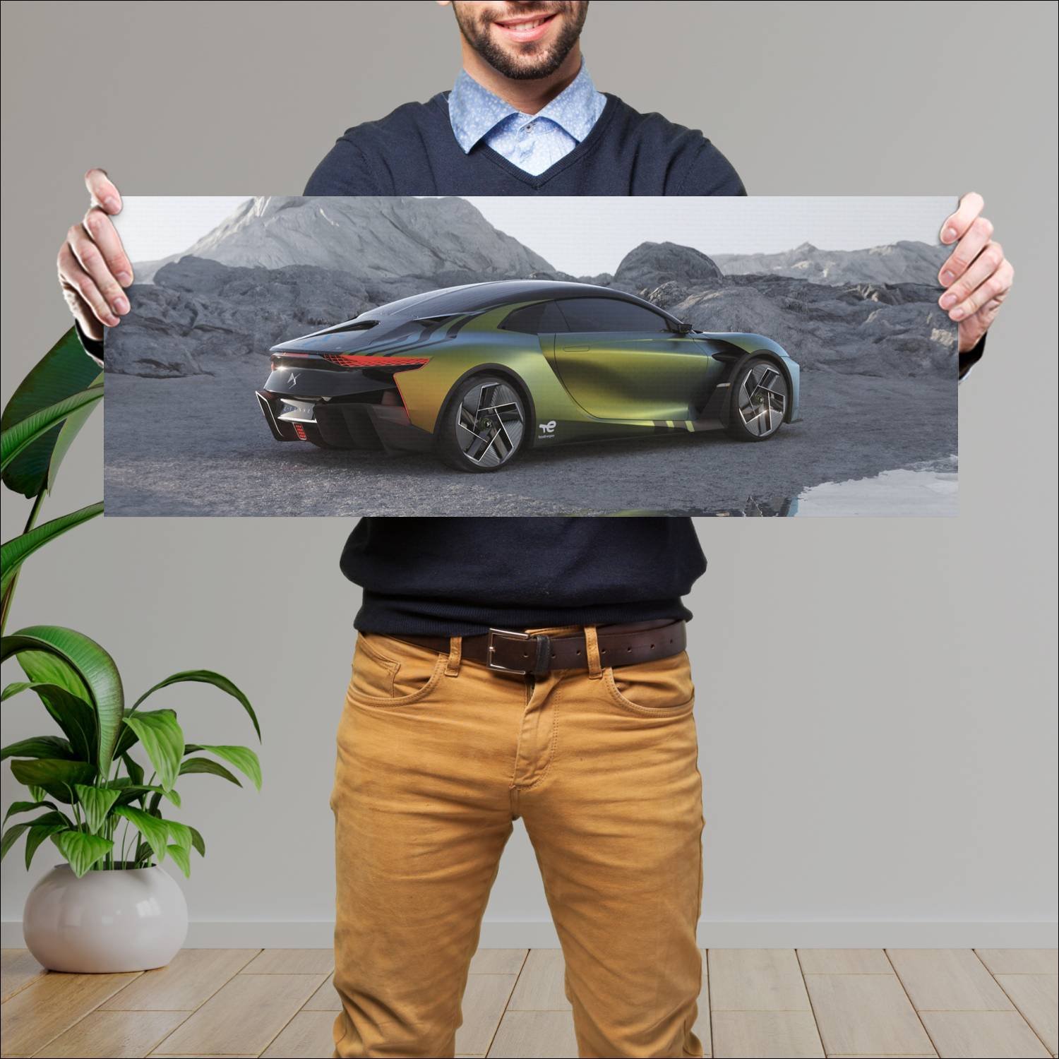 Cuadro grande 30x80cm 2022 ds e tense performance 41 DS
